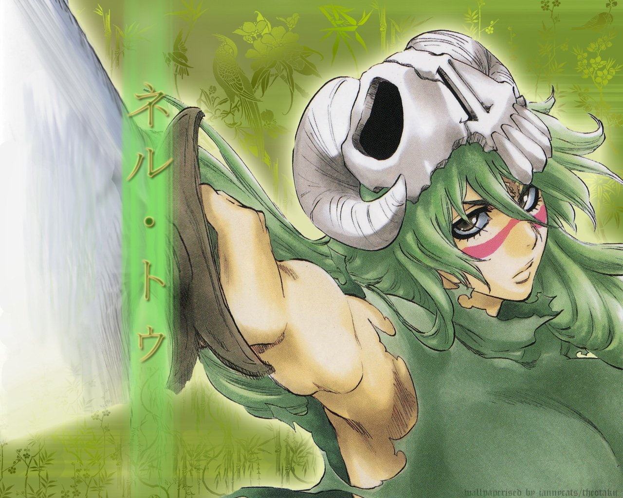 Bleach, Nelliel Tu Odelschwanck, 720P, HD Wallpaper