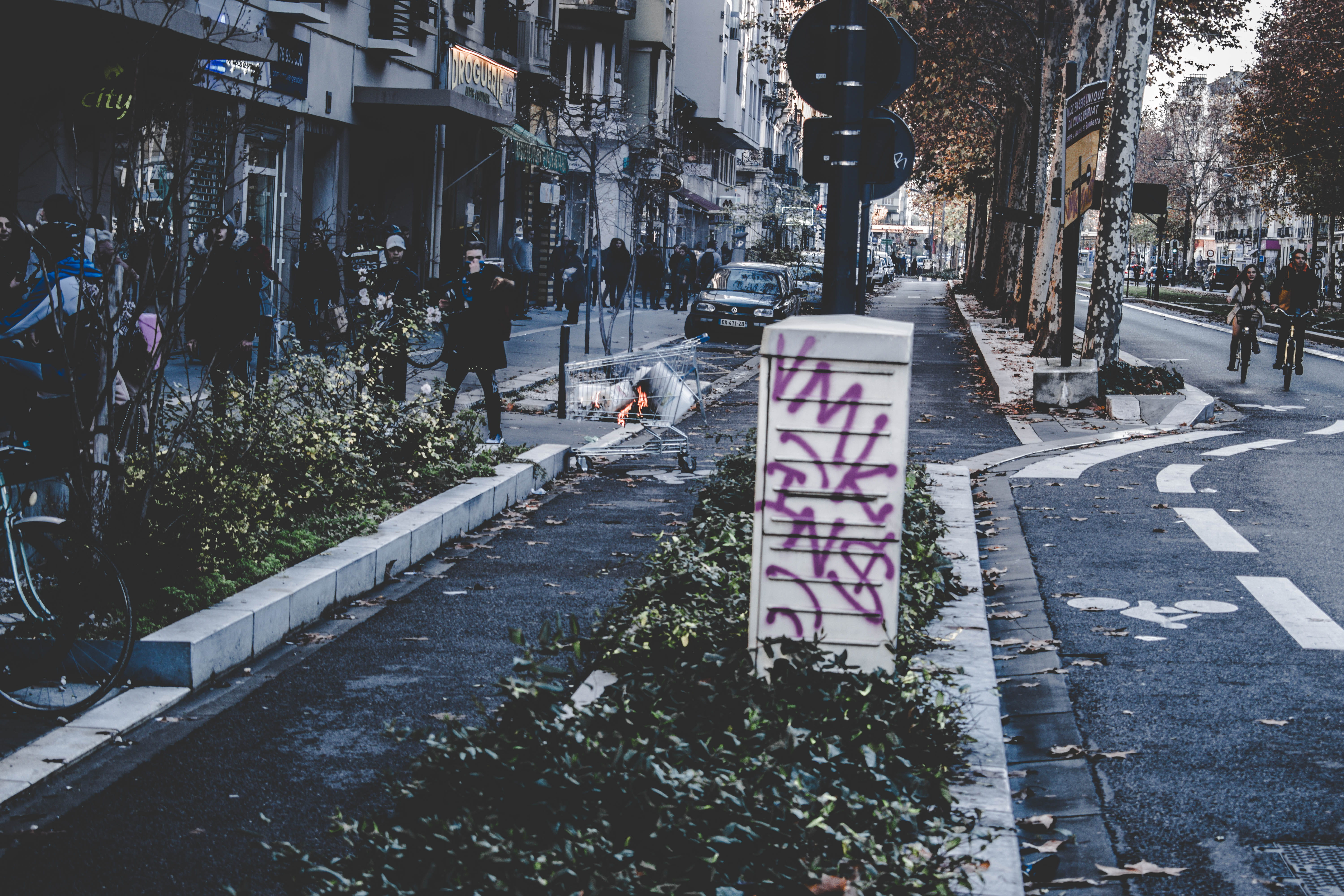 plant, road, walking, day, information, built structure, hooligan, text, paris, sign, france, prostest, city, grenoble, fire, 5K, burned, outdoors, street, HD Wallpaper