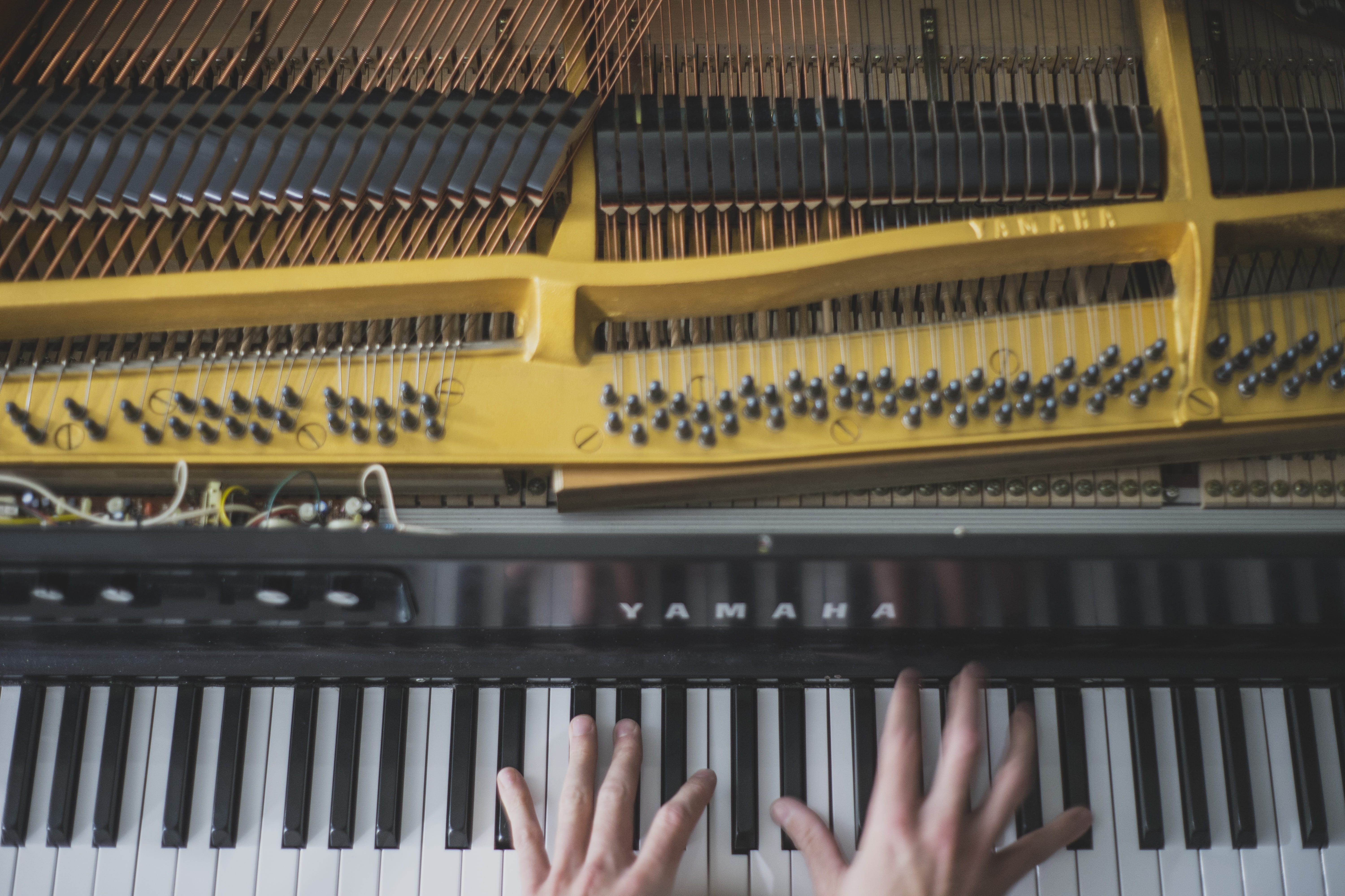 music, acoustic, one person, real people, musical equipment, united states, body part, piano, large group of objects, columbus, unrecognizable person, musical instrument, HD Wallpaper
