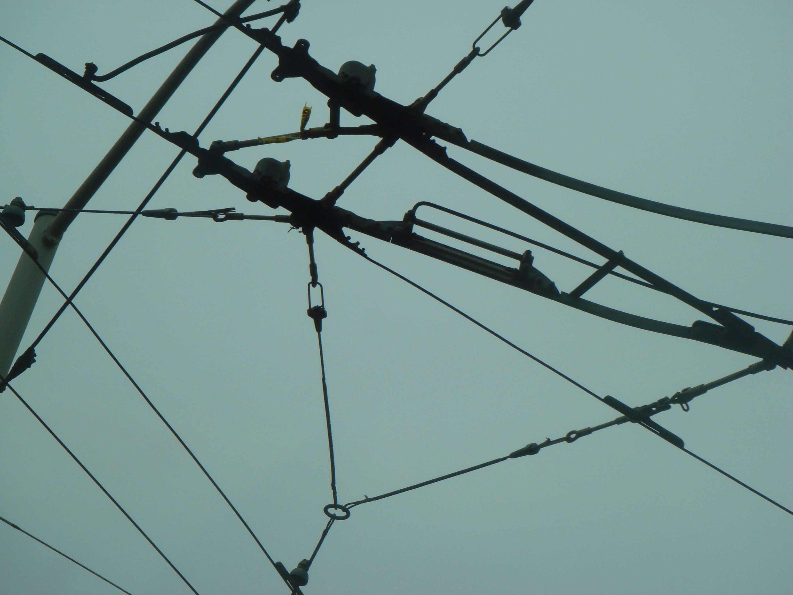 wire, urban, 2K, wires, outdoors, metal, sky, complexity, san francisco, low angle view, power, nature, cable, united states, fuel and power generation, HD Wallpaper