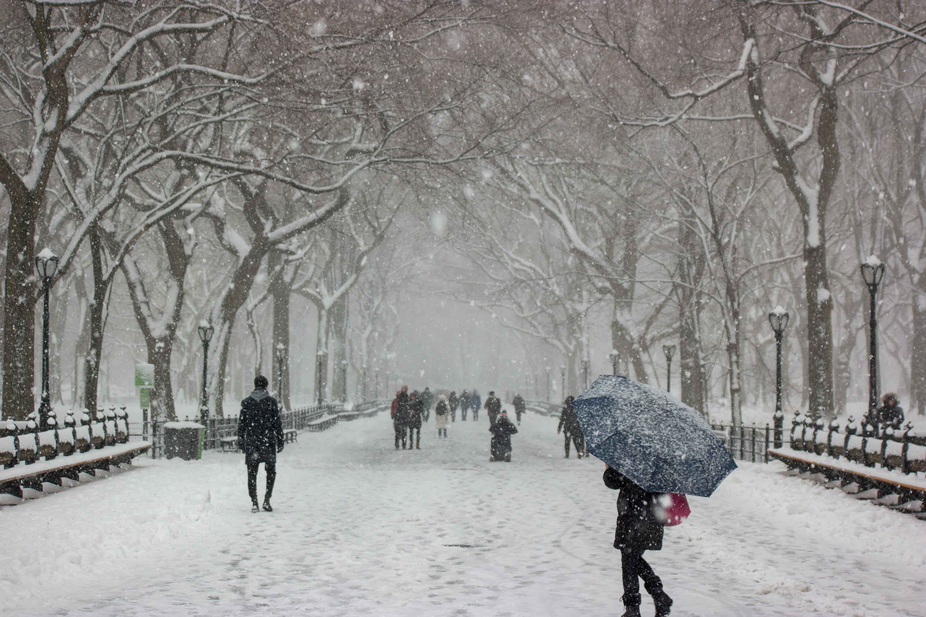 rain, snow, urban, outdoors, scene, group of people, cold, lifestyles, footpath, architecture, protection, 2K, central park, women, landscape, trees, cold temperature, HD Wallpaper