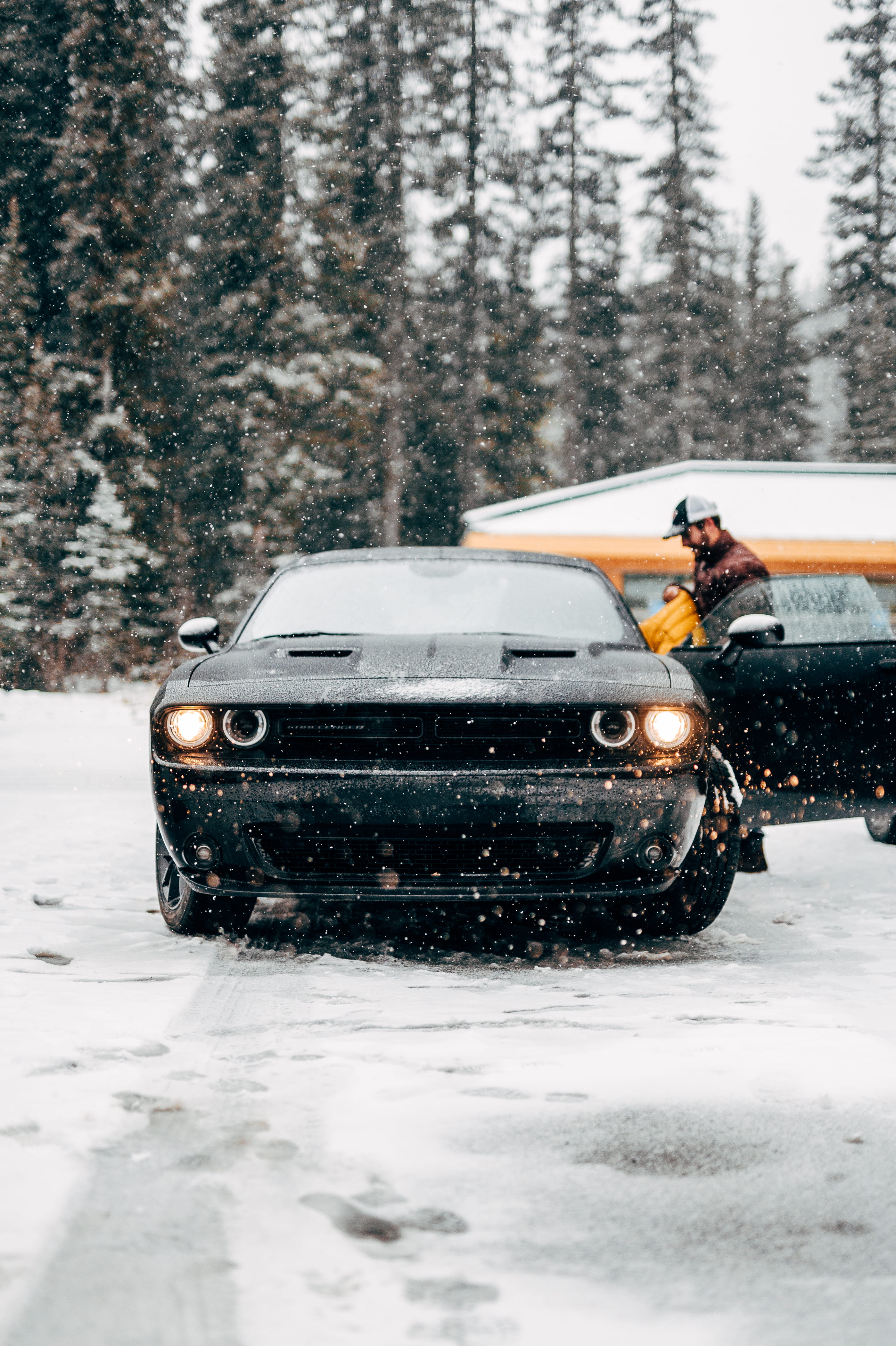 frozen, mode of transportation, 4K, car, day, person, land vehicle, extreme weather, cold temperature, transportation, photo, man, snowfield, plant, winter, Phone HD Wallpaper