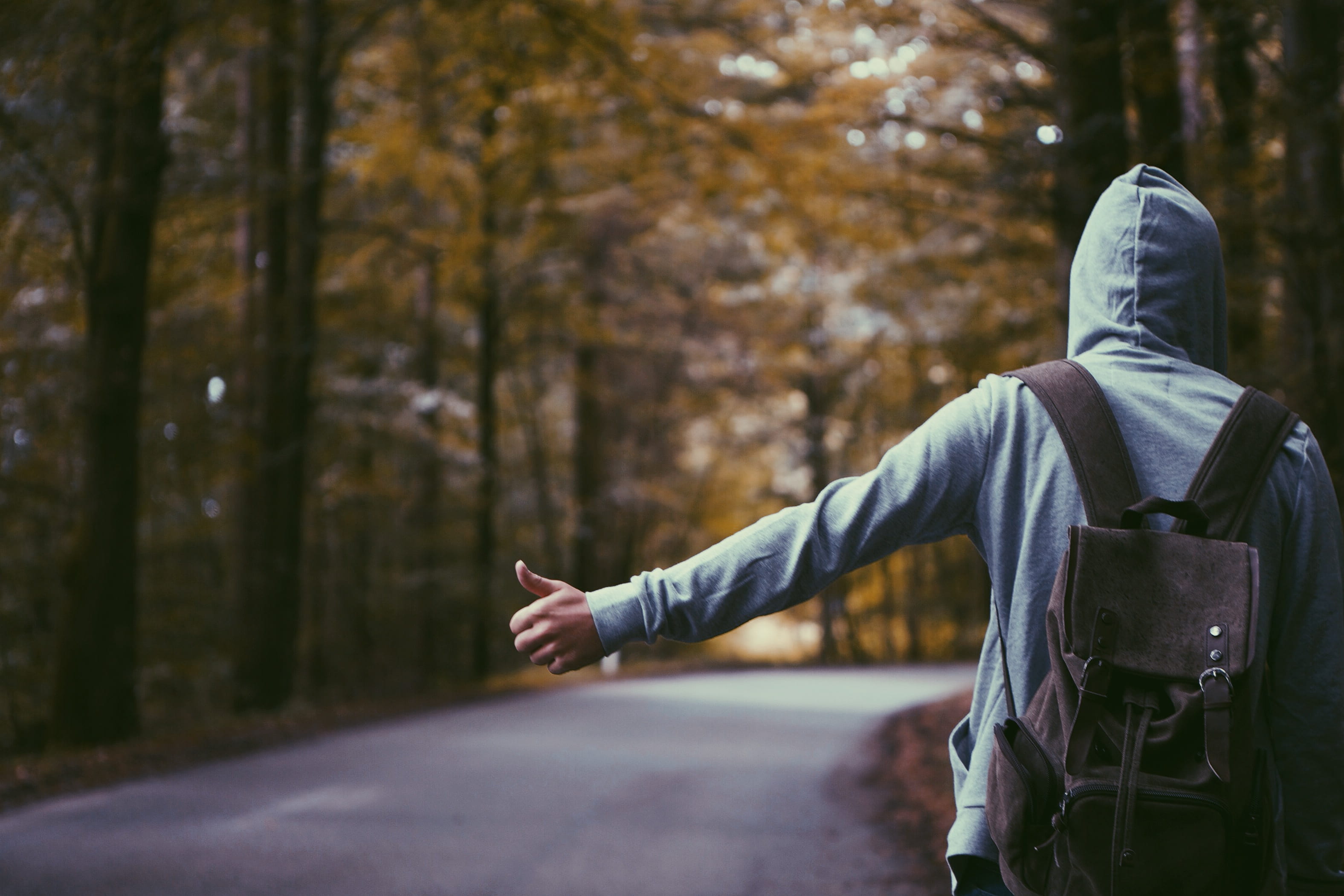 one person, men, leisure activity, nature, hood, land, autumn, finger, wanderlust, tree, human arm, forest, lost, hood - clothing, hitchhiker, untitled, HD Wallpaper