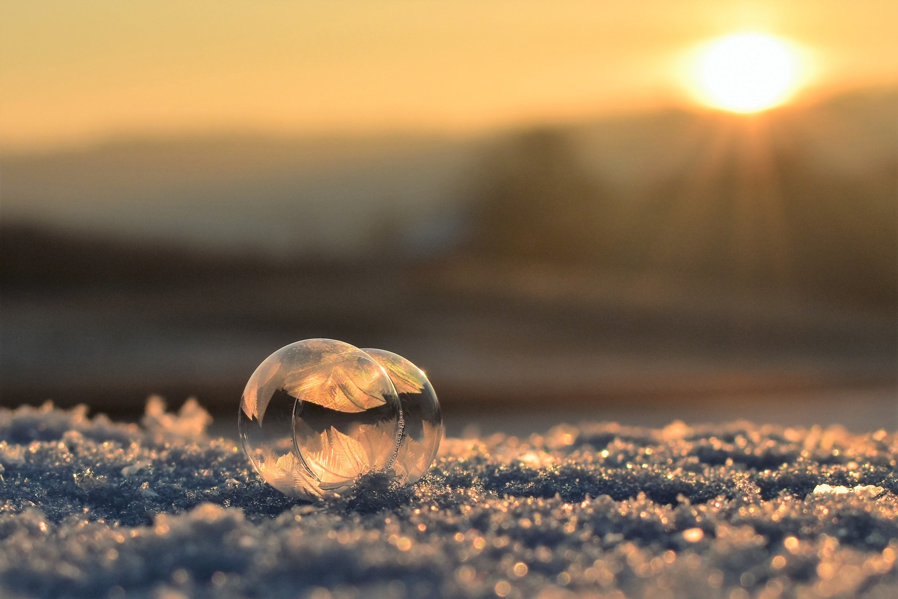 environment, sky, beauty in nature, animal, surface level, 2K, nature, frozen, ice, Frozen Bubble, sand, close-up, Soap Bubble, winter, scenics - nature, HD Wallpaper