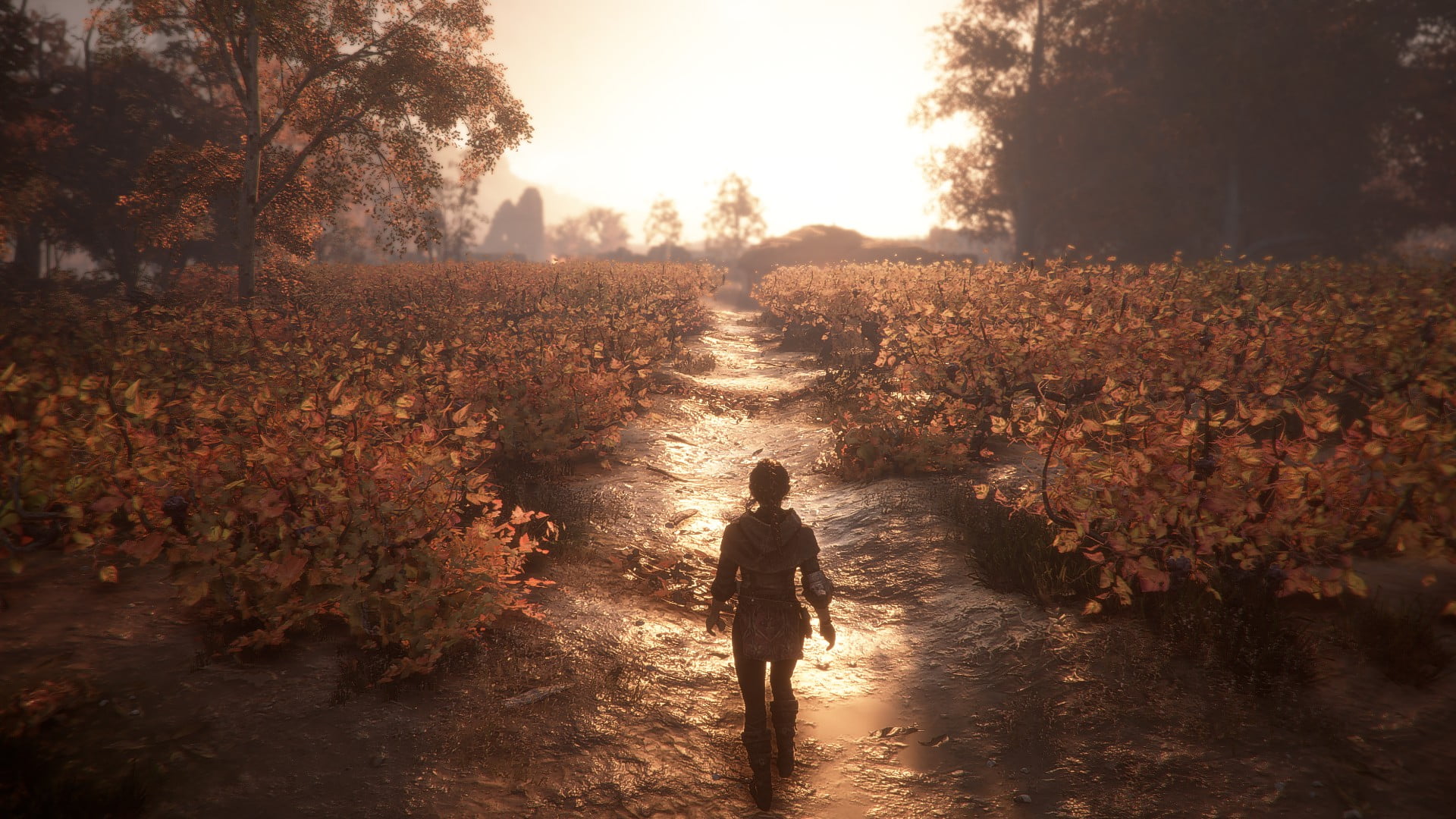 A Plague Tale Innocence, video game art, 1080P, HD Wallpaper