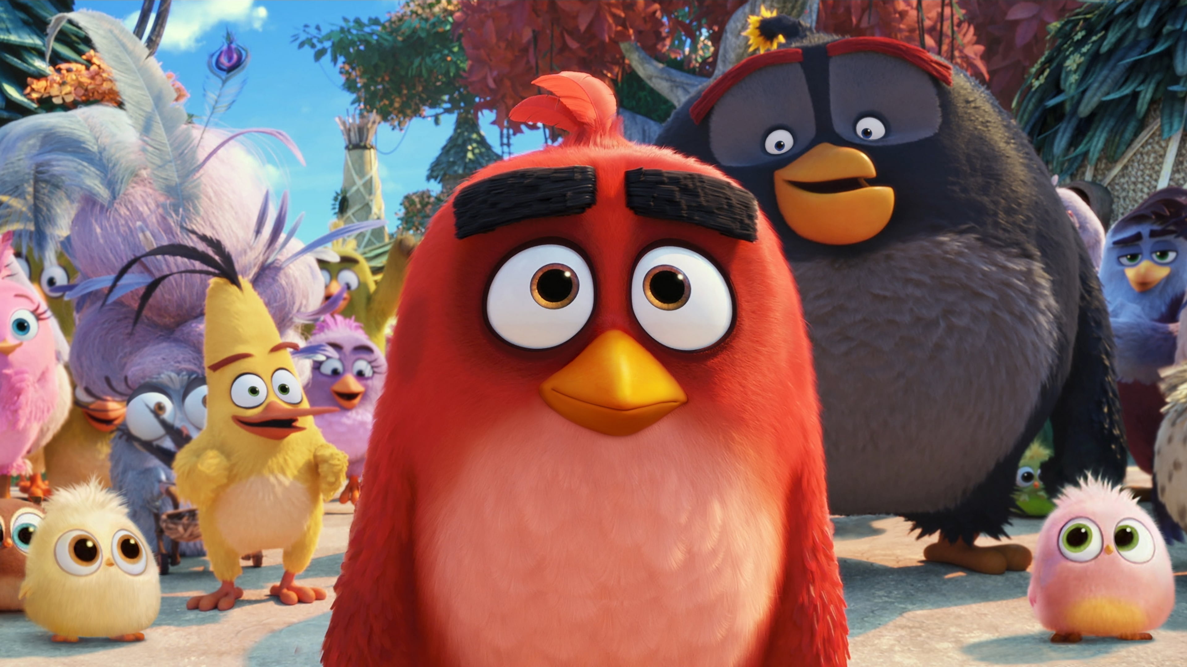 Movie, 4K, The Angry Birds Movie 2, HD Wallpaper