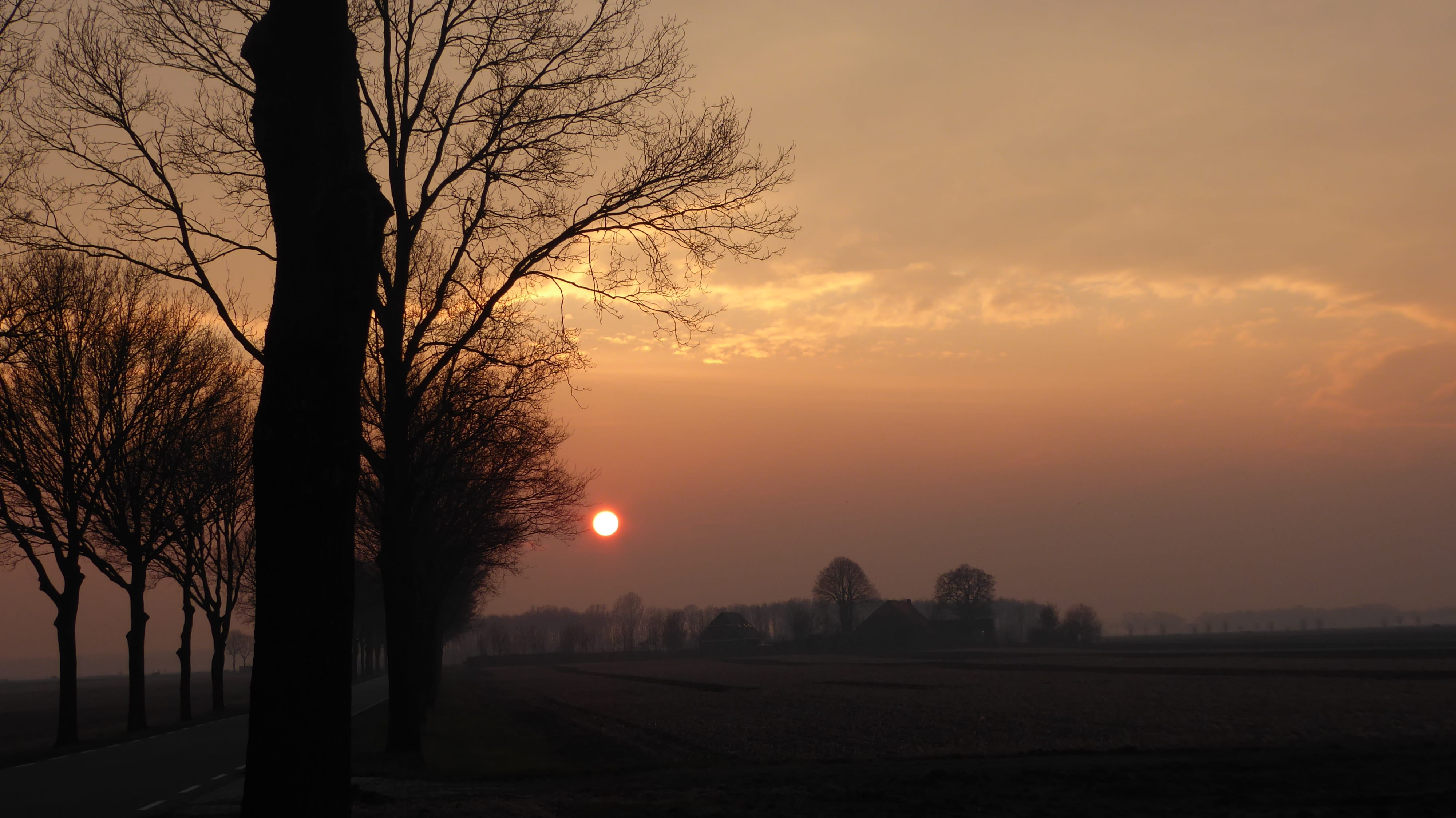 sun, tranquil scene, bare tree, beauty in nature, silhouette, architecture, fuzzy, no people, nature, sky, scenics - nature, fog, outdoors, 4K, built structure, HD Wallpaper