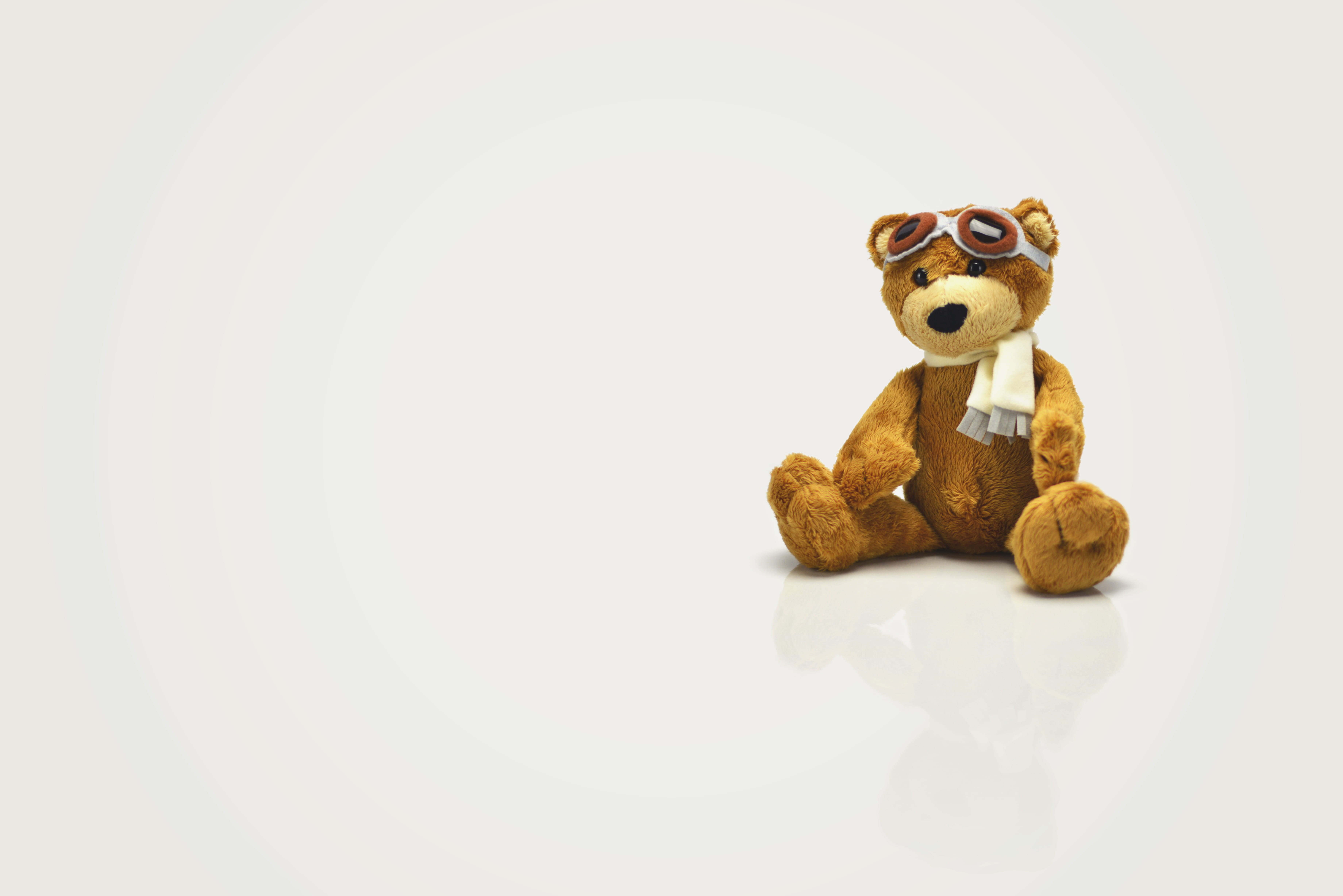 indoors, stuffed, product photography, representation, studio shot, animal representation, spooky, pilot, surface, reflection, two objects, fun, toy, white background, HD Wallpaper