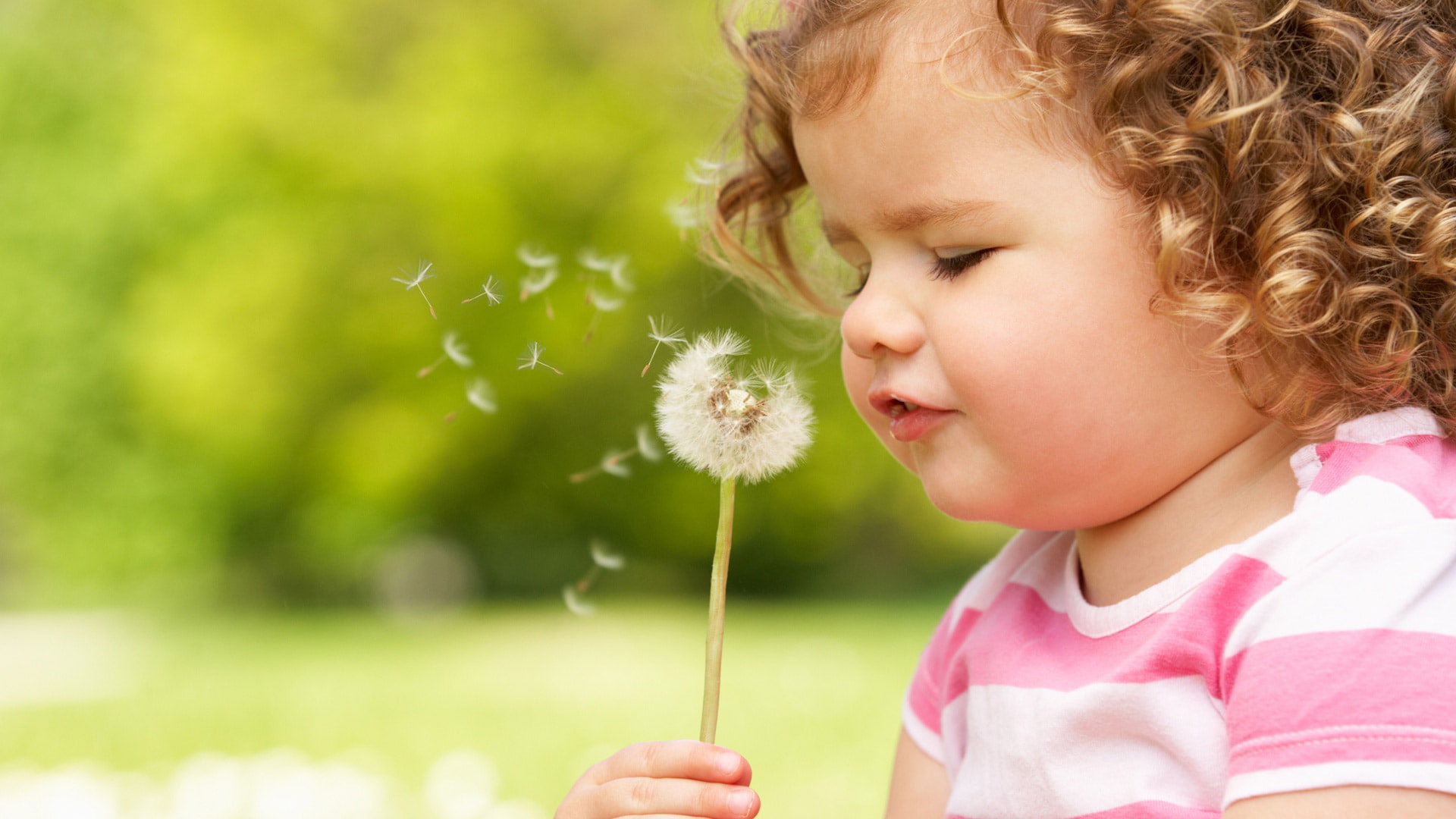 dandelion, curly hair, curly, cute, cute little girl, girl, little, 1080P, kid, hair, HD Wallpaper
