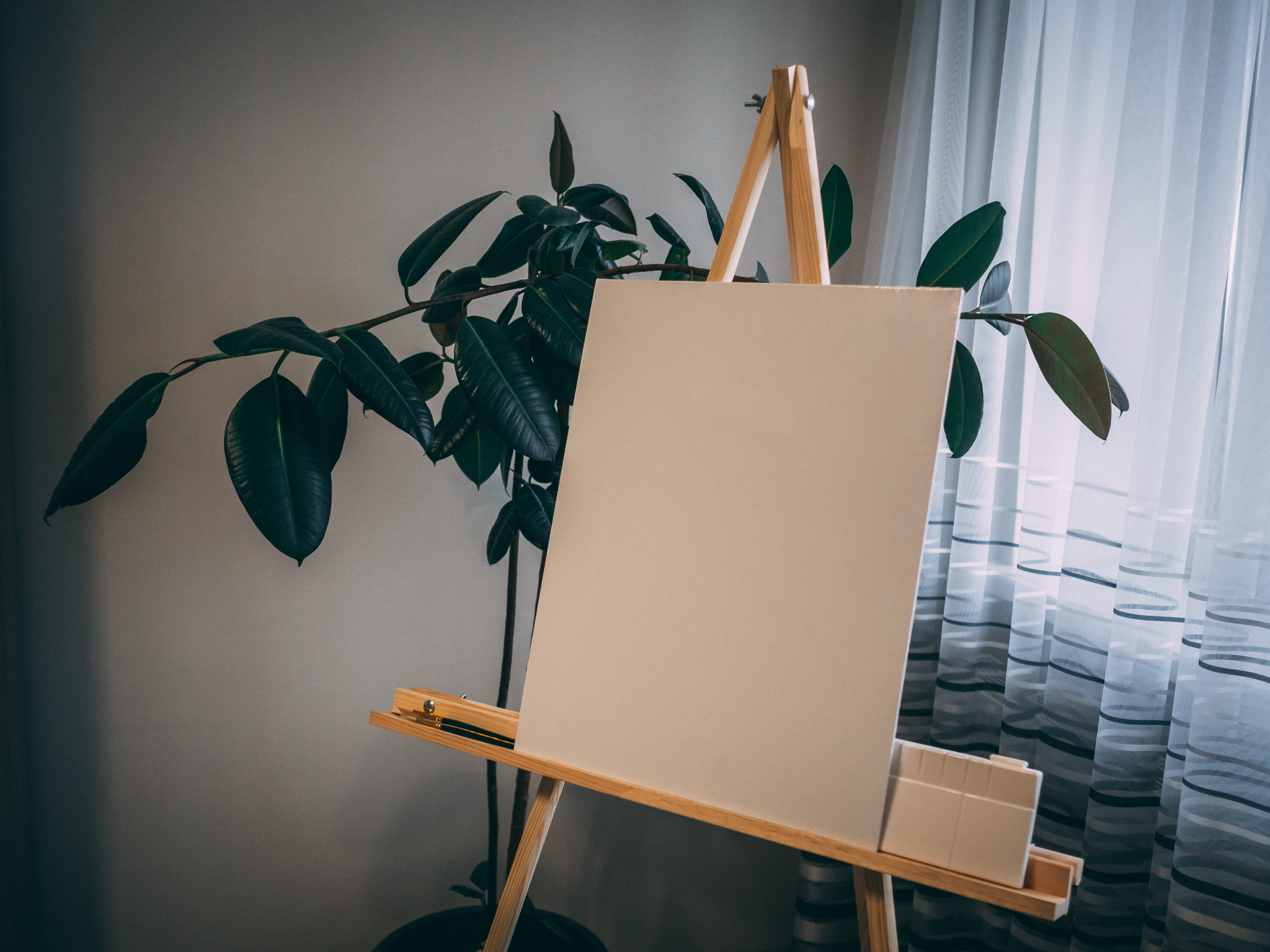 flowering plant, plant, box, design, art, leaf, easel, flower, box - container, no people, potted plant, creative, close-up, technology, home interior, HD Wallpaper