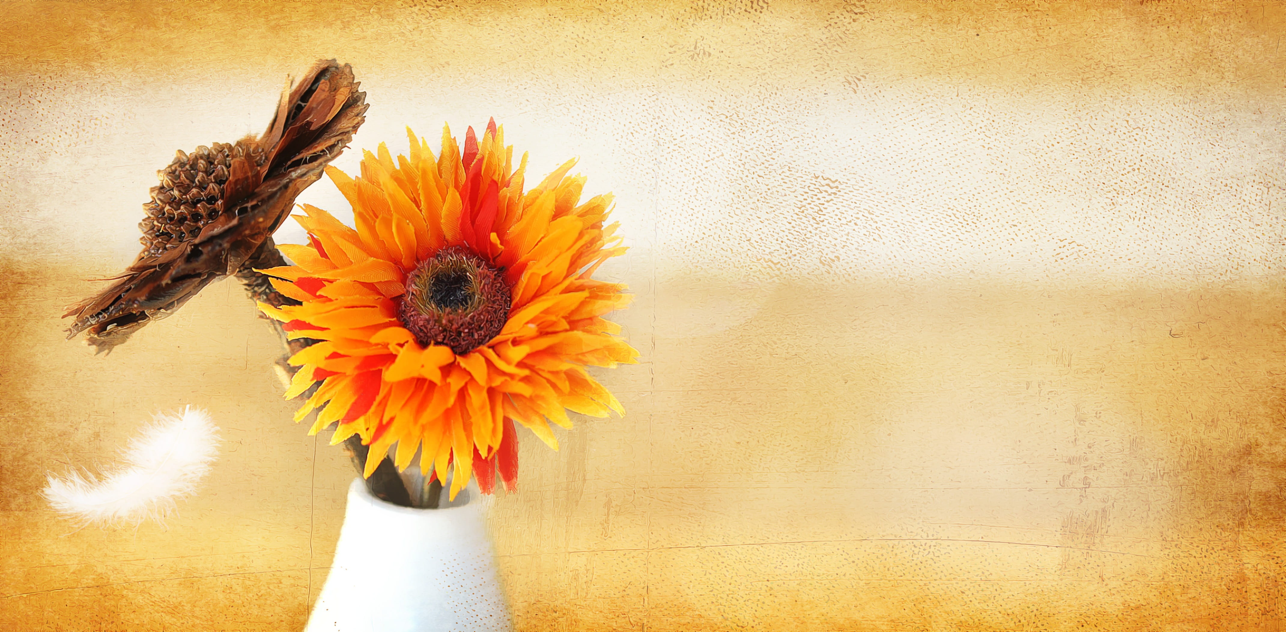 vase, orange color, fragility, flower, nature, close-up, textured effect, daisy, flower arrangement, flower head, flowers, growth, 4K, yellow, petal, pollen, HD Wallpaper