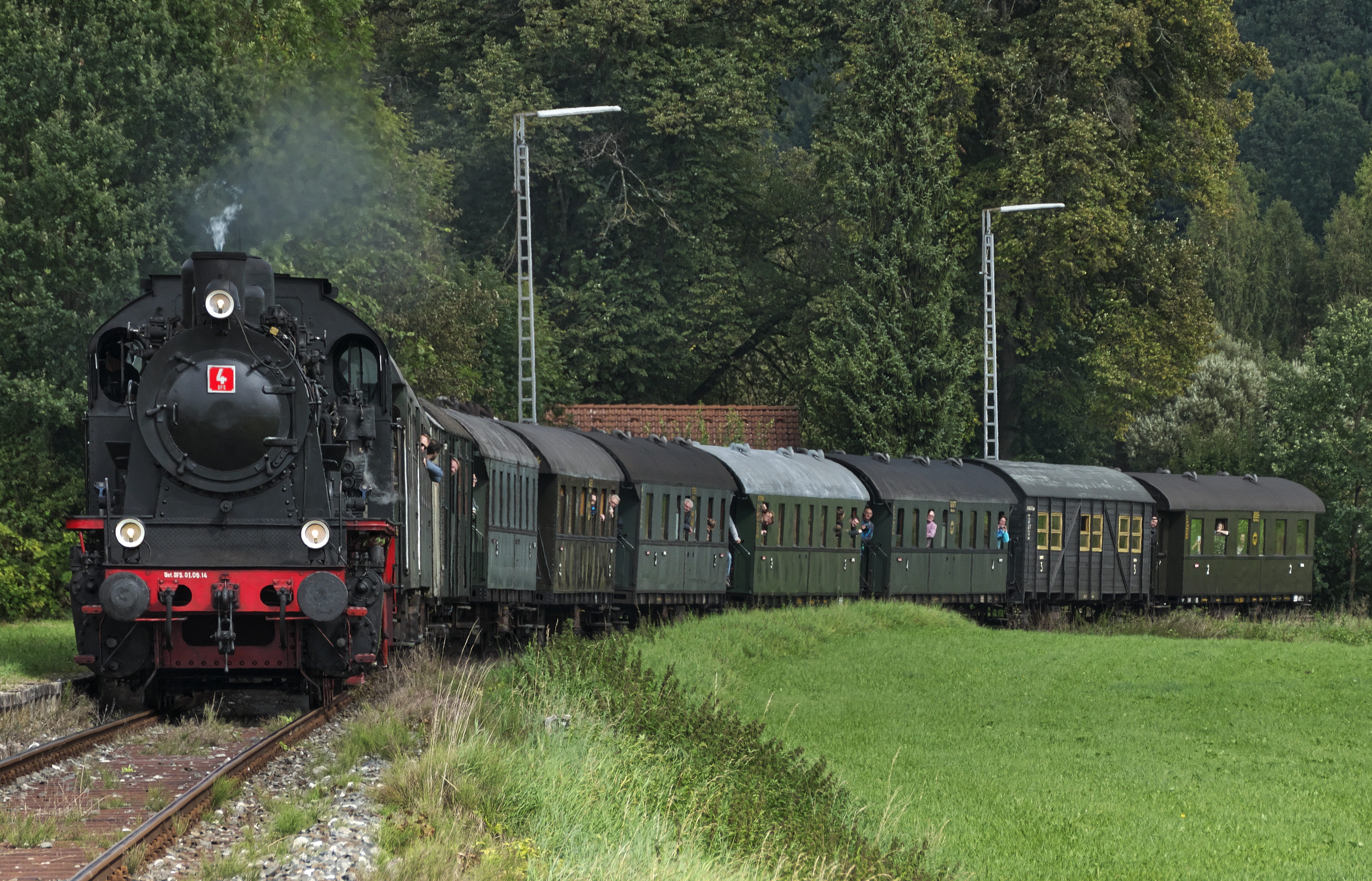 tree, museum train, railway, steam locomotive, grass, nature, train - vehicle, nostalgia, 4K, rail transportation, outdoors, ash, plant, day, transportation, HD Wallpaper