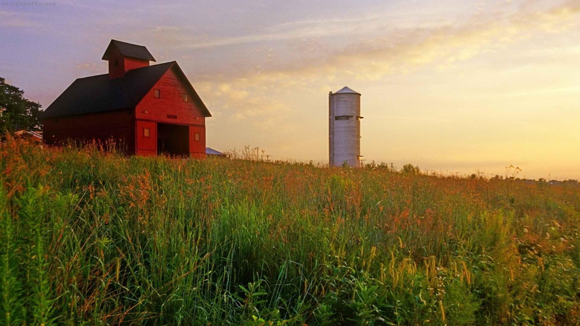 house, farm, wooden, 1080P, nature and landscapes, field, red, silo, barns, HD Wallpaper
