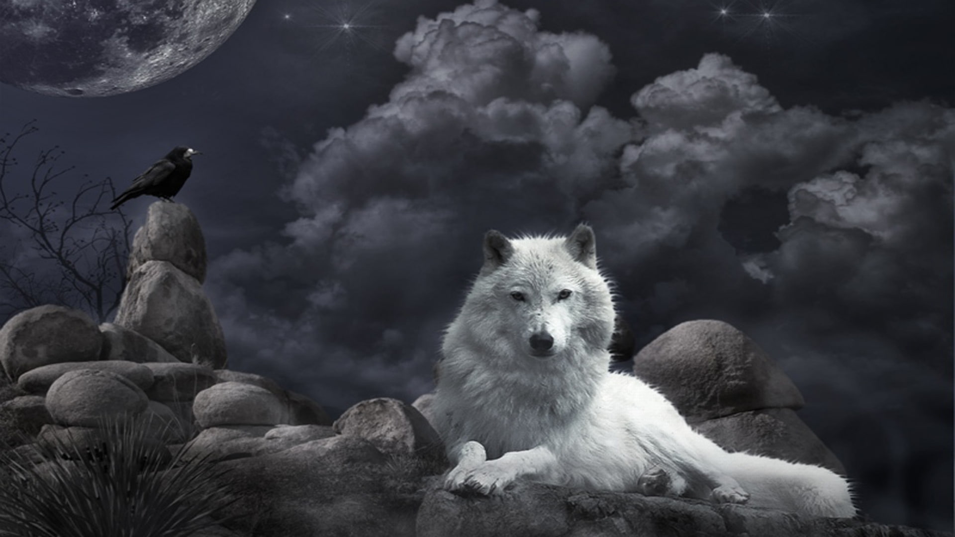 black, moon, wolf, white, werewolf, 1080P, HD Wallpaper