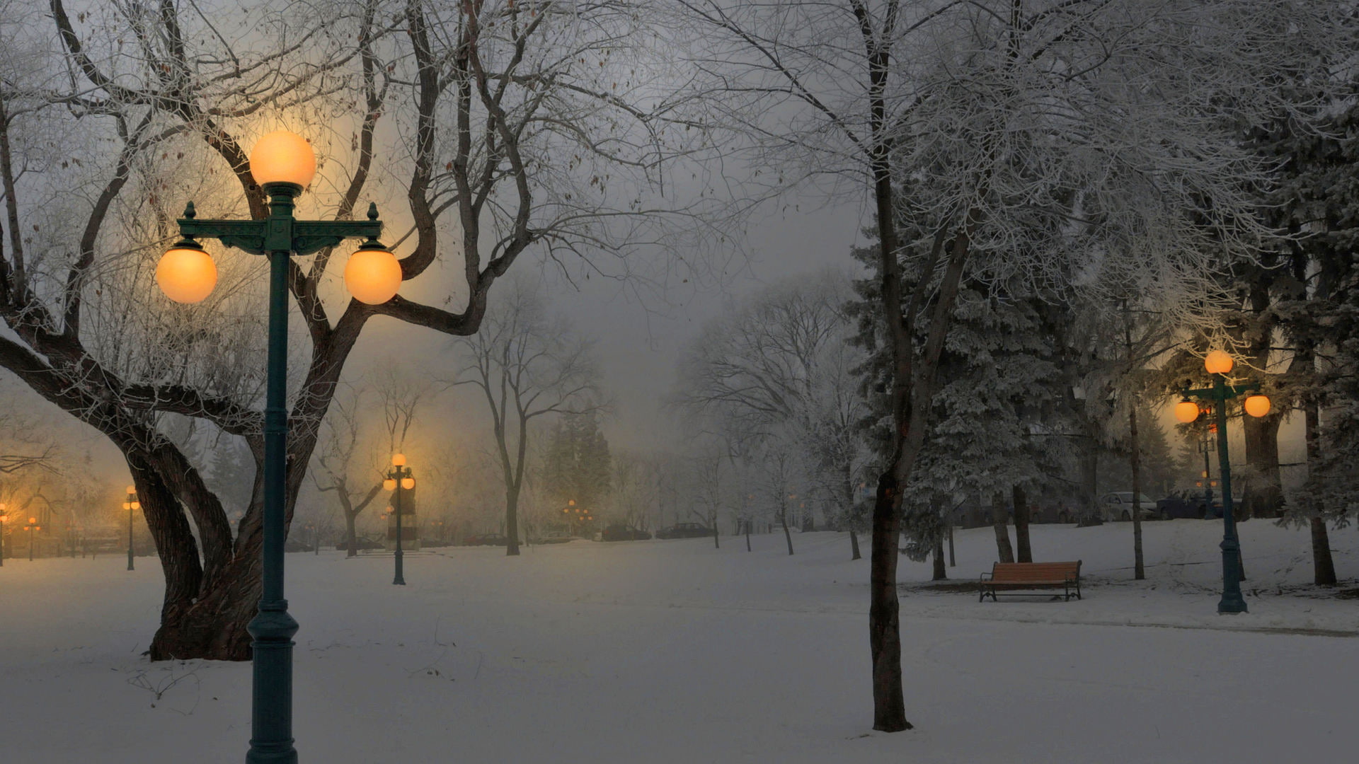 city, branch, electric lamp, night, outdoors, lighting equipment, cold temperature, frozen, morning, white color, winter, electricity, snowing, fog, 1080P, HD Wallpaper