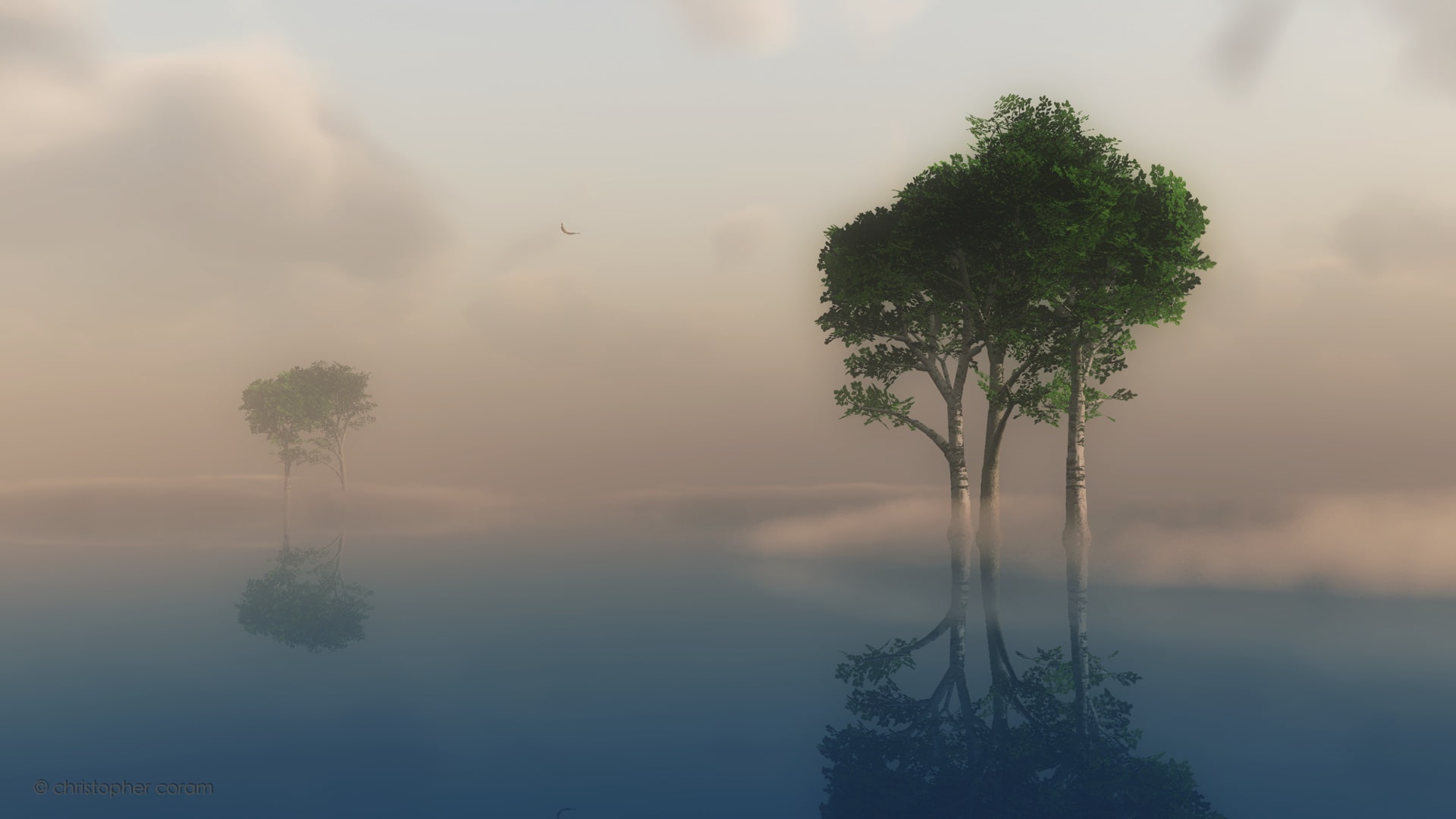 forest, morning, foggy, 1080P, fog, HD Wallpaper