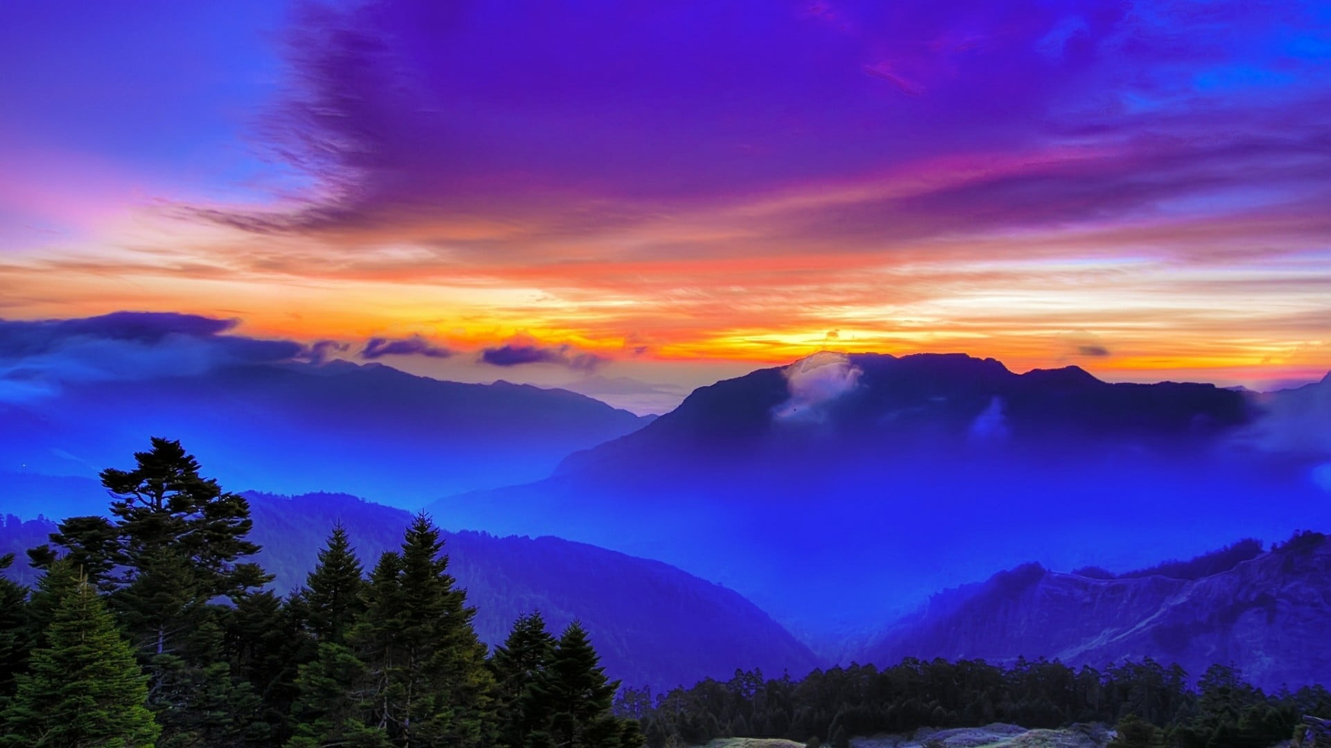 tree, pine tree, asia, foggy, travel, outdoors, purple, forest, scenics - nature, horizon, environment, sunset, nature, sky, dawn, orange sky, cloud, sunrise, HD Wallpaper