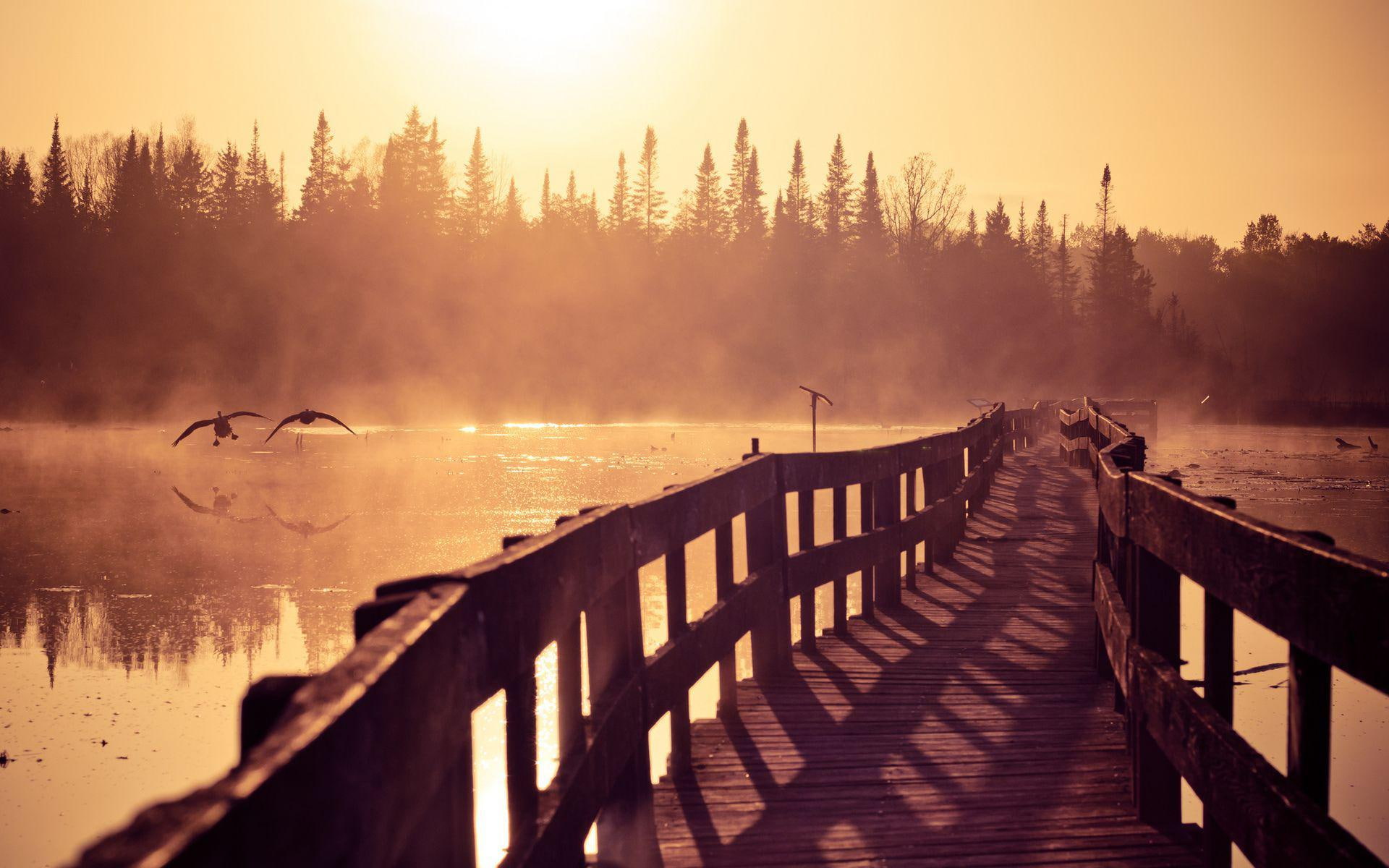 1920x1200, pier, photo, morning, foggy, lake, 1080P, sunset, tree, forest, dock, nature, HD Wallpaper