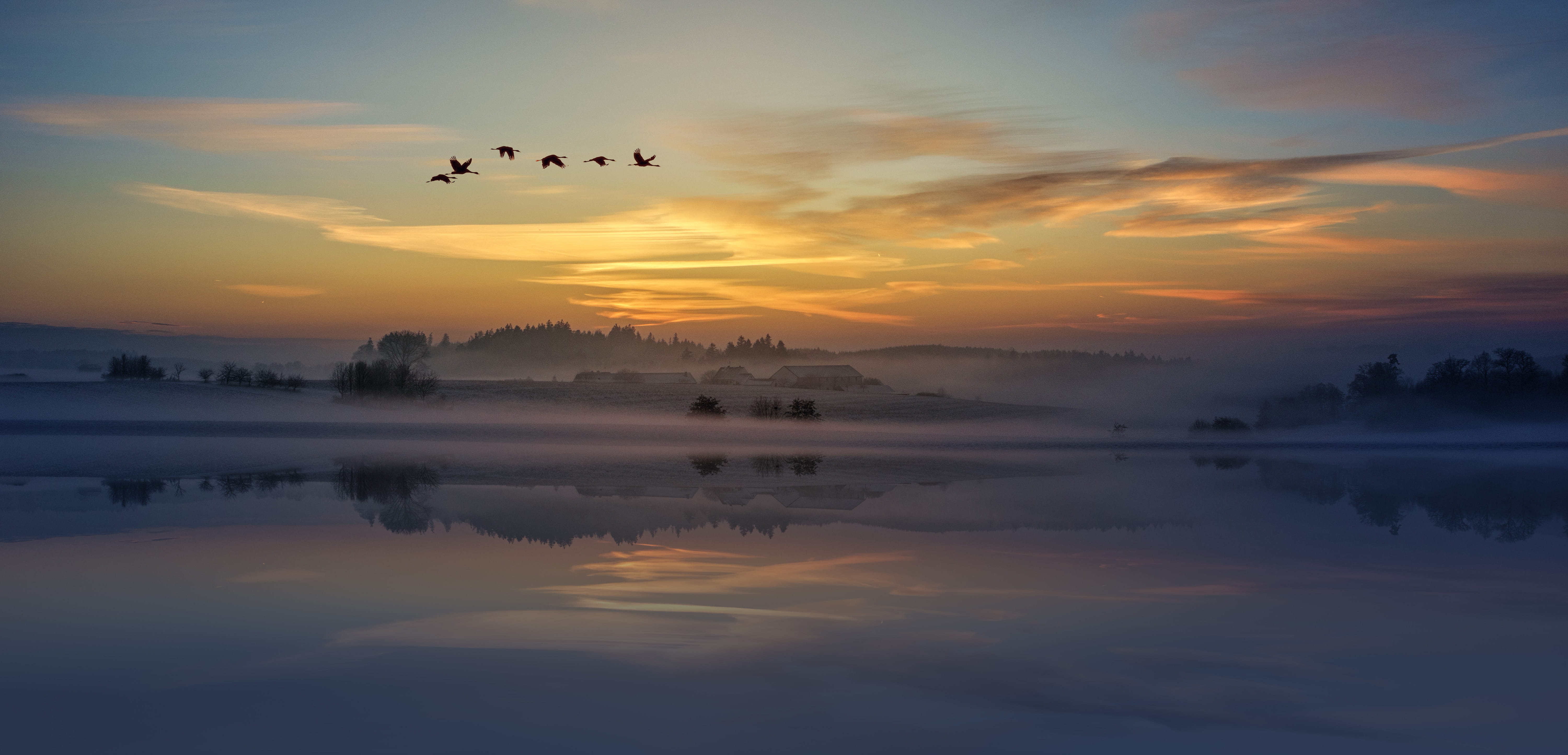 summer, scenics - nature, morning, sun, Winter, tranquil Scene, animal themes, body, landscape, flying, beauty In Nature, vertebrate, sky, six, animal wildlife, HD Wallpaper
