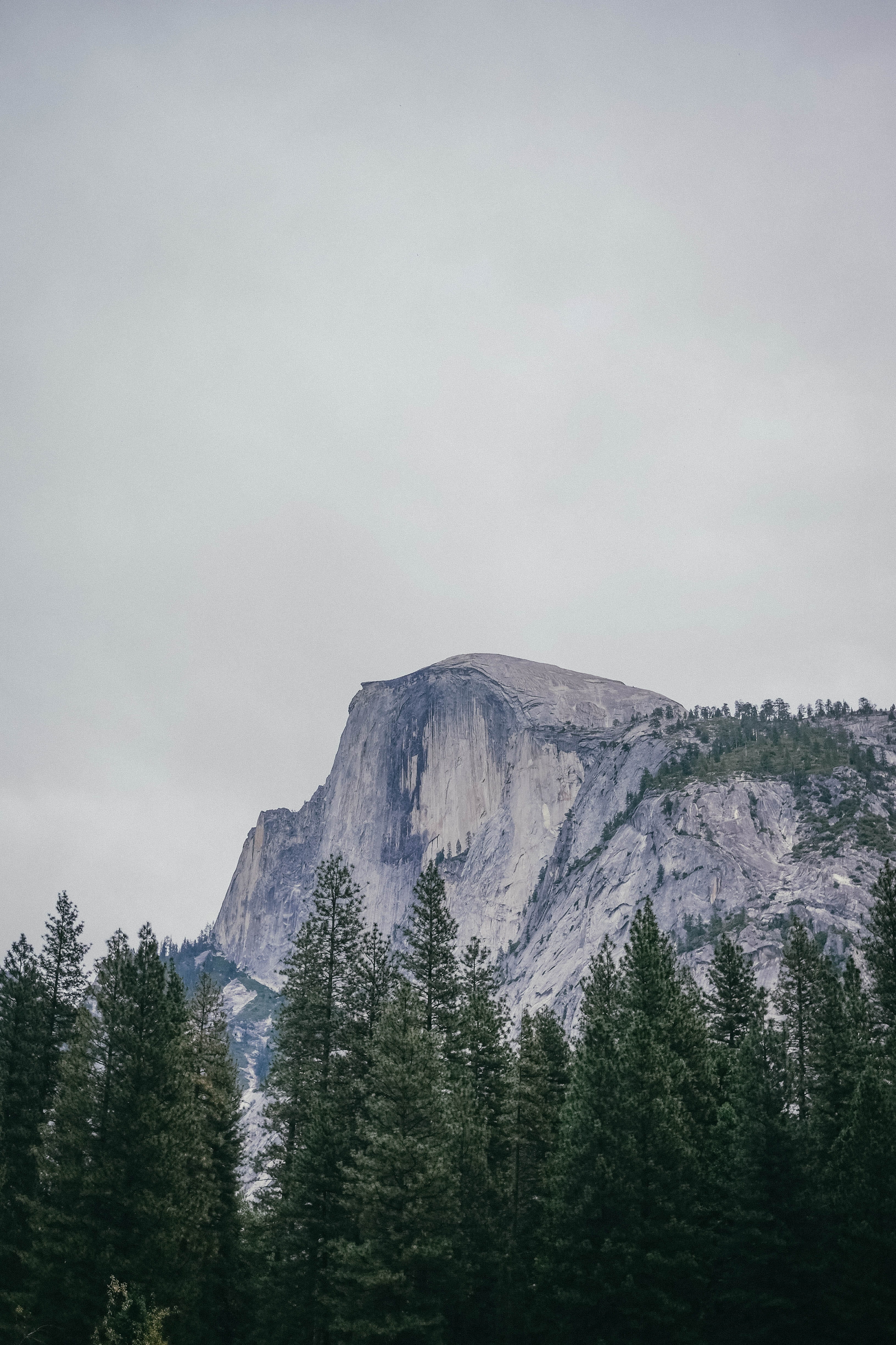 half dome, idyllic, environment, 4K, day, low angle view, tranquil scene, cloud - sky, coniferous tree, cloudy, sky, cold, remote, united states, formation, Phone HD Wallpaper