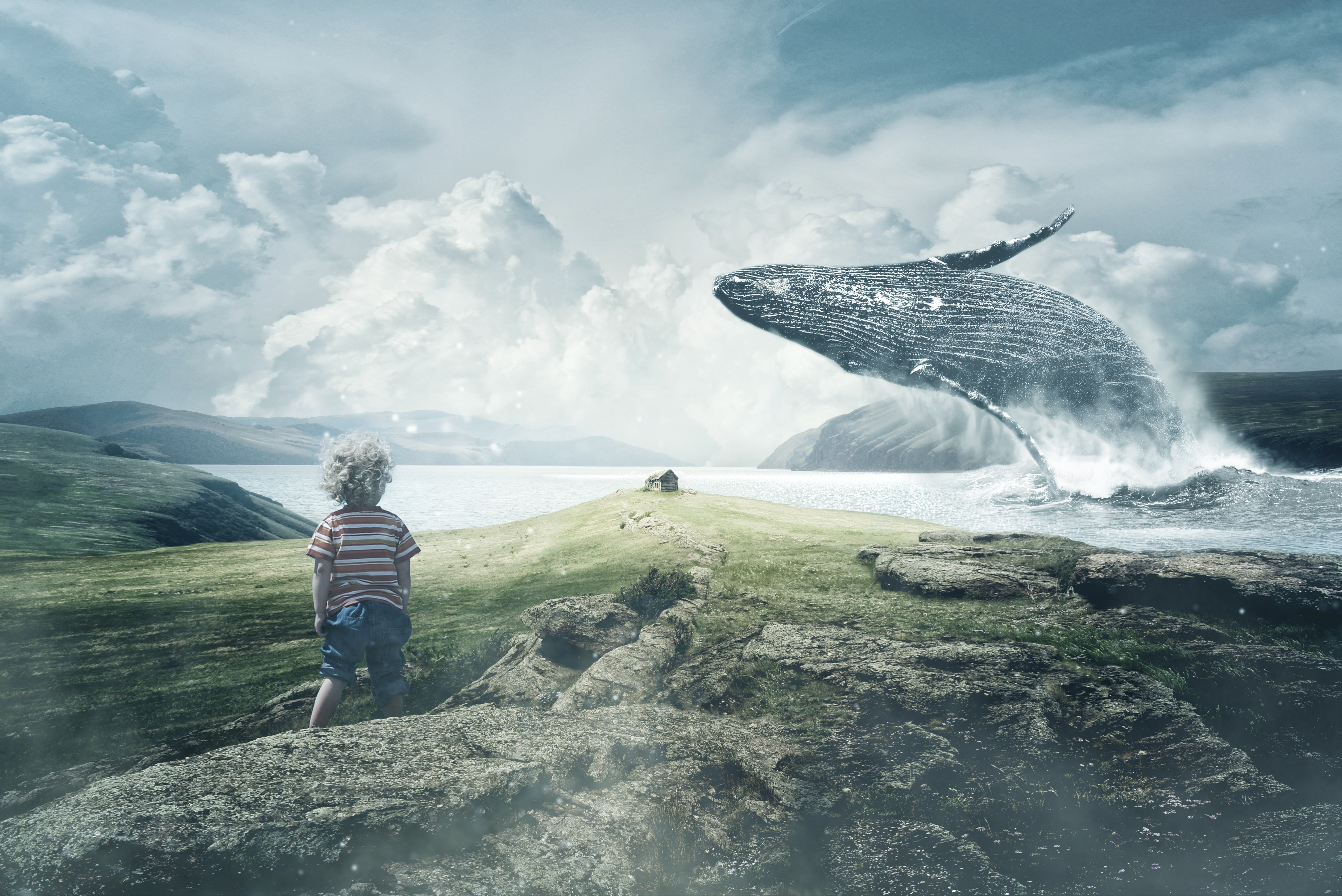 Landscape, Boy, Whale, 5K, 5K, Alone, Surreal, Sea, HD Wallpaper