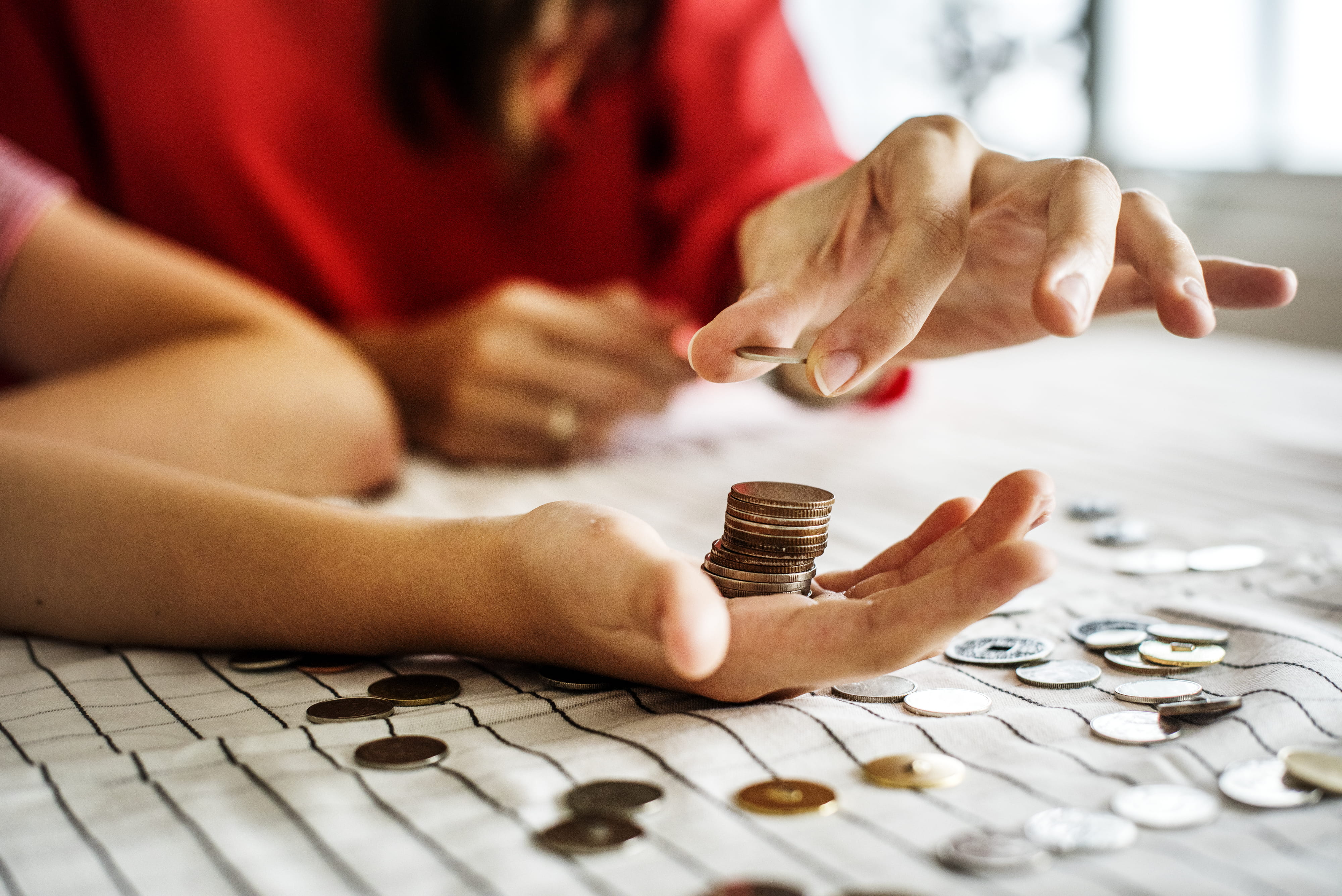 pig, earning, woman, caucasian, commerce, human hand, man, changes, human body part, adult, blur, banking, hand, business, selective focus, financial, savings, HD Wallpaper
