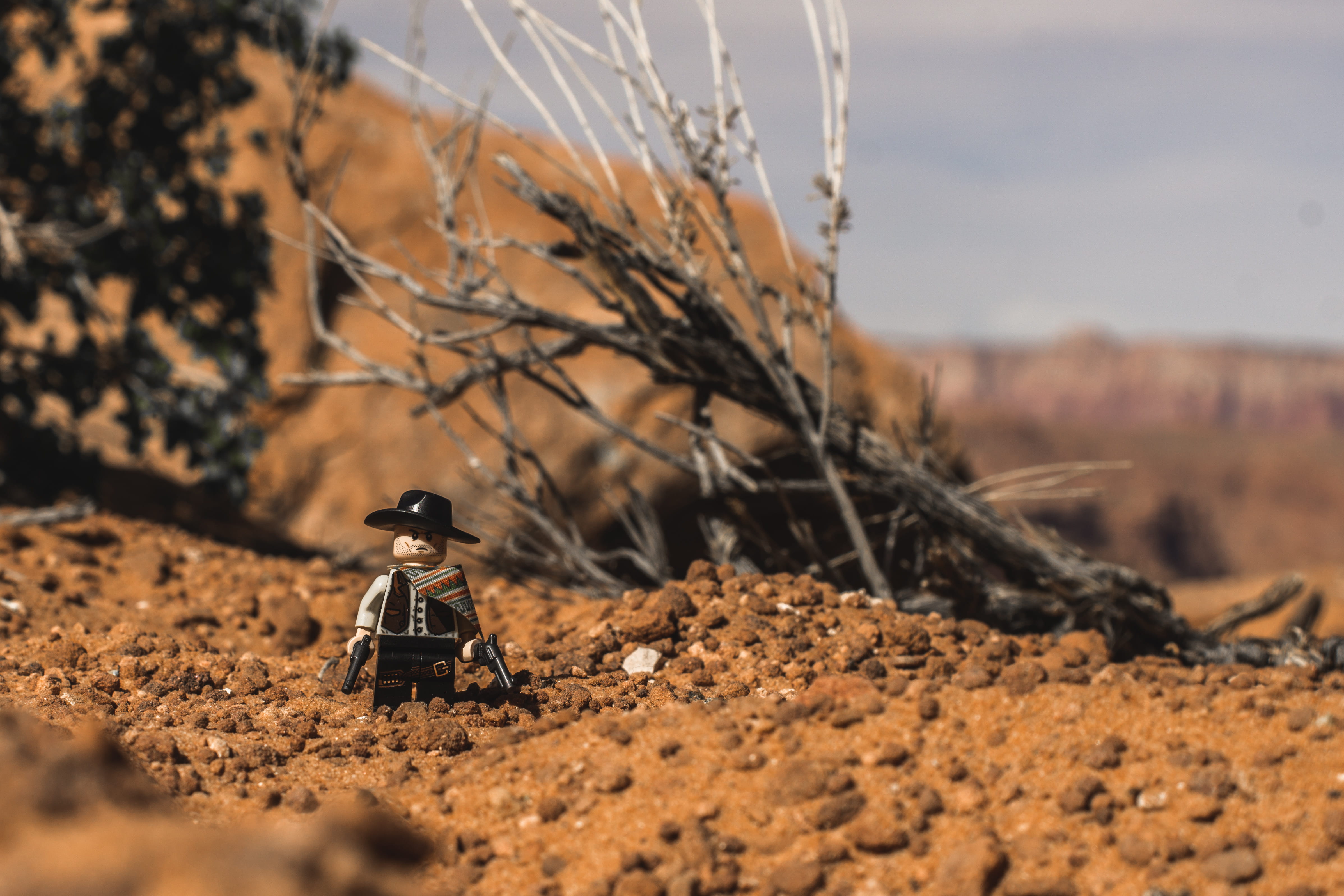 animal wildlife, small, sunlight, lego, selective focus, field, clint, focus on foreground, nature, no people, the good, gun, horseshoe bend, animal themes, HD Wallpaper