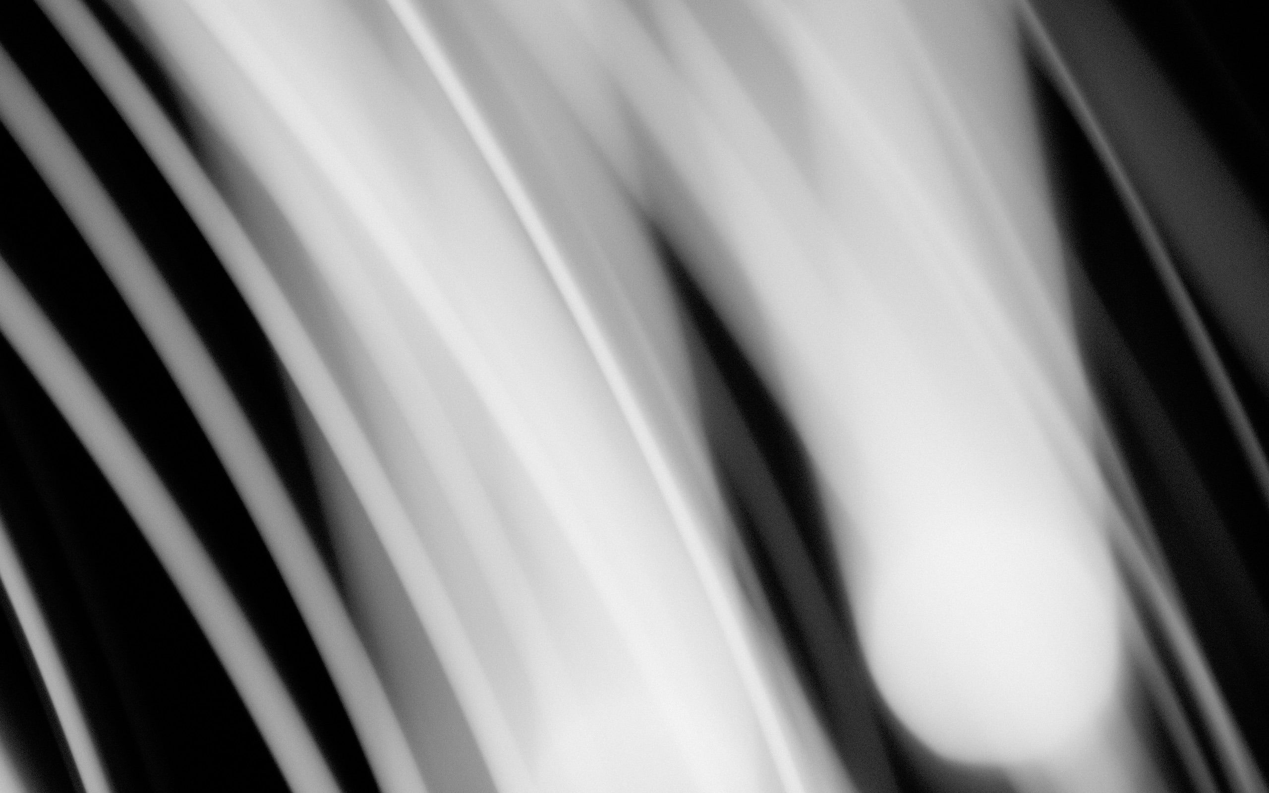 selective focus, paper, white color, retina, striped, indoors, close-up, long, pattern, 2K, light, technology, textile, abstract, backgrounds, HD Wallpaper