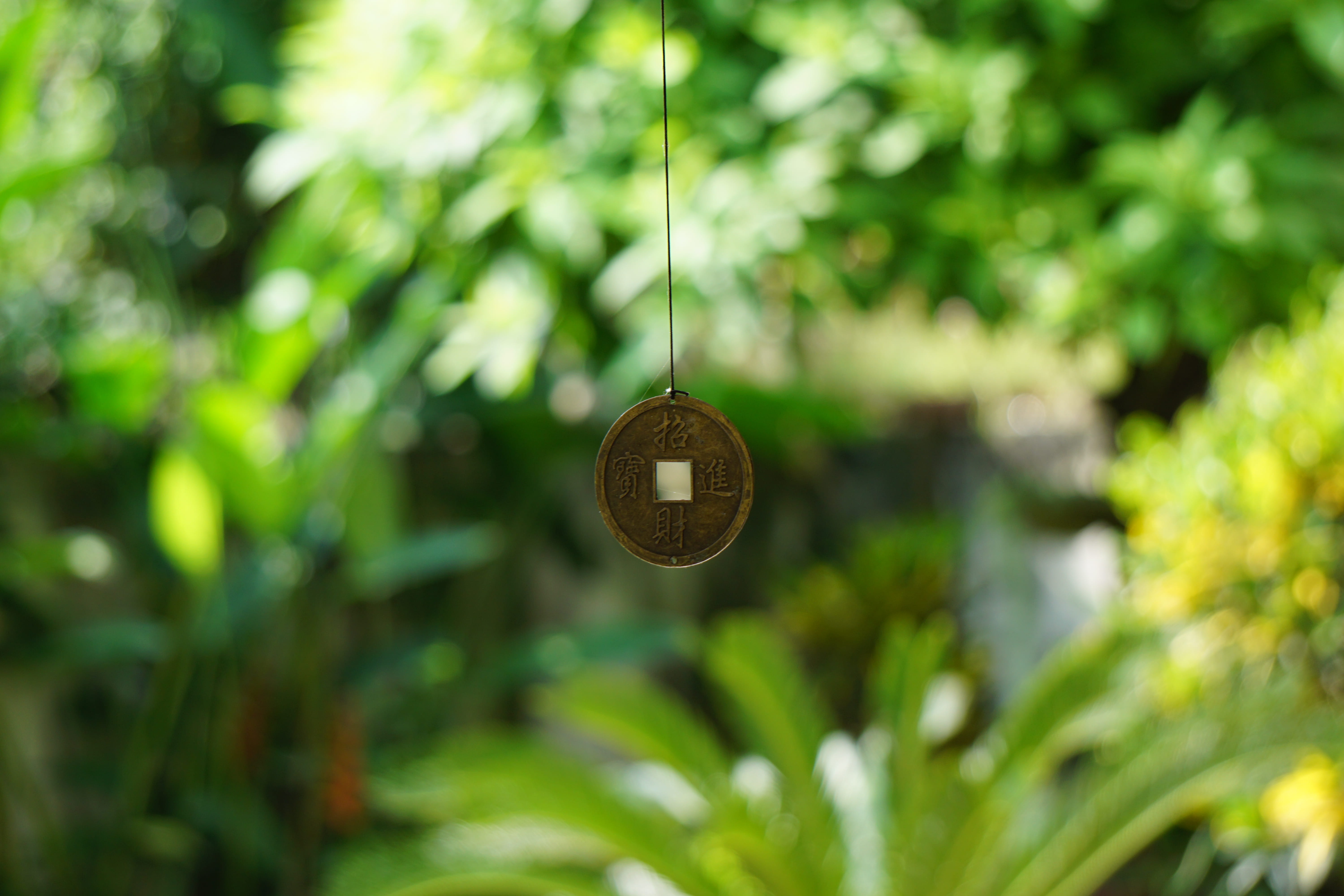 om, metal, plant part, selective focus, low angle view, outdoors, india, green color, green, hanging, close-up, geometric shape, circle, nature, peace, HD Wallpaper