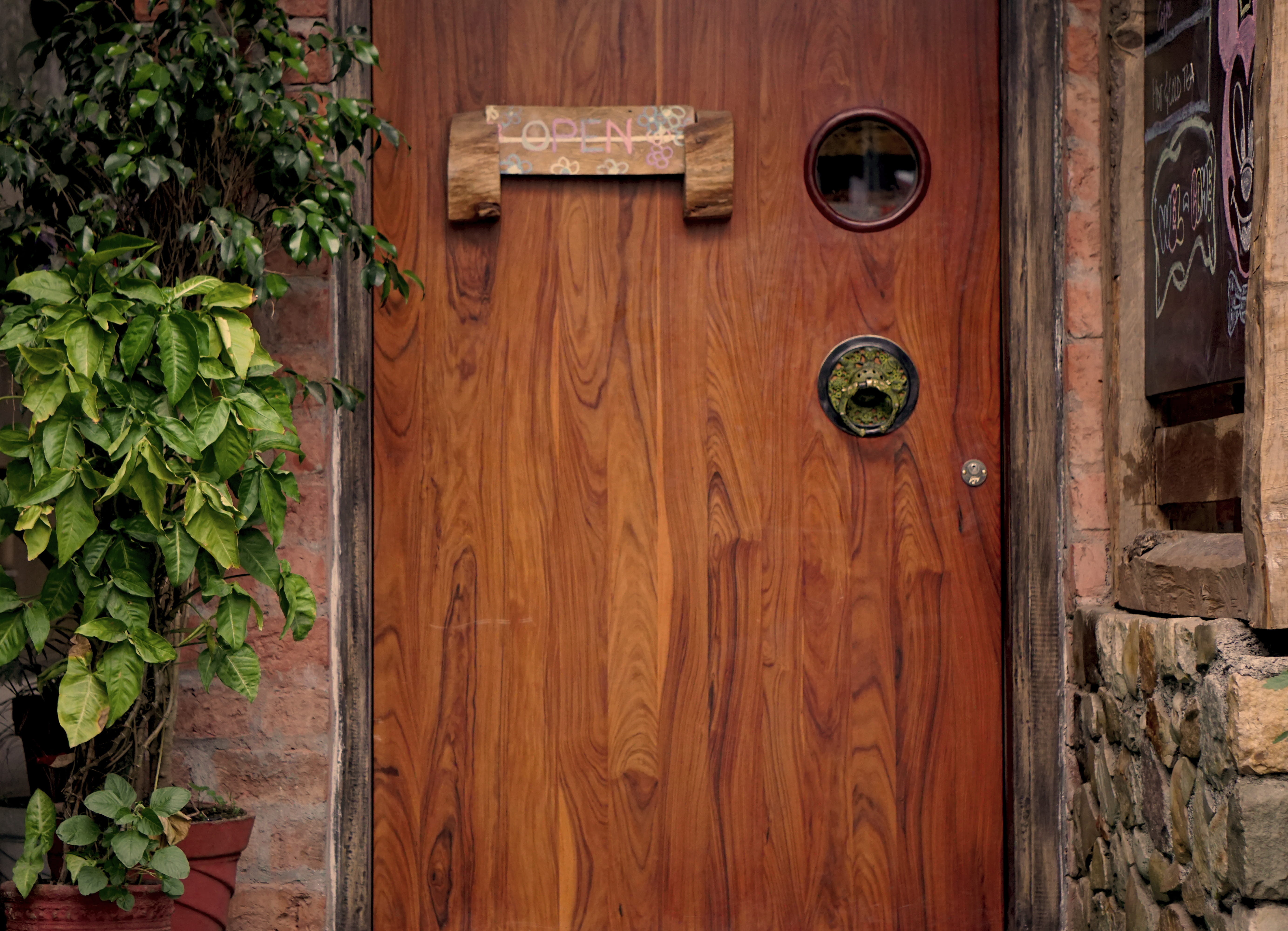 nature, indoors, growth, vintage, entrance, no people, flooring, india, door, 5K, leaves, plant part, wood, wood - material, potted plant, wall - building feature, HD Wallpaper