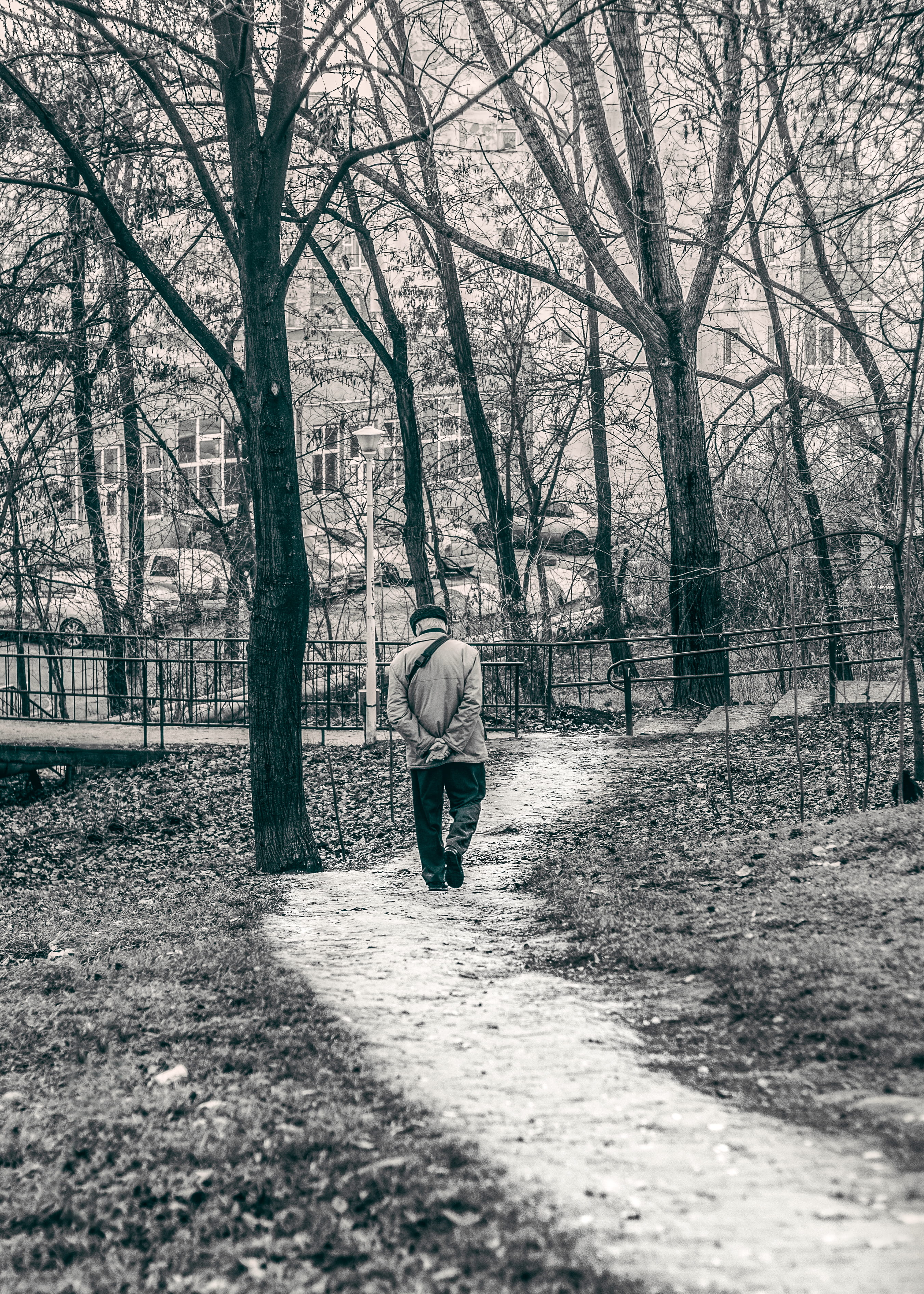 outdoors, footpath, one person, black-and-white, winter, landscape, land, trees, rear view, forest, white, tree, walk, nature, road, season, adult, day, Phone HD Wallpaper