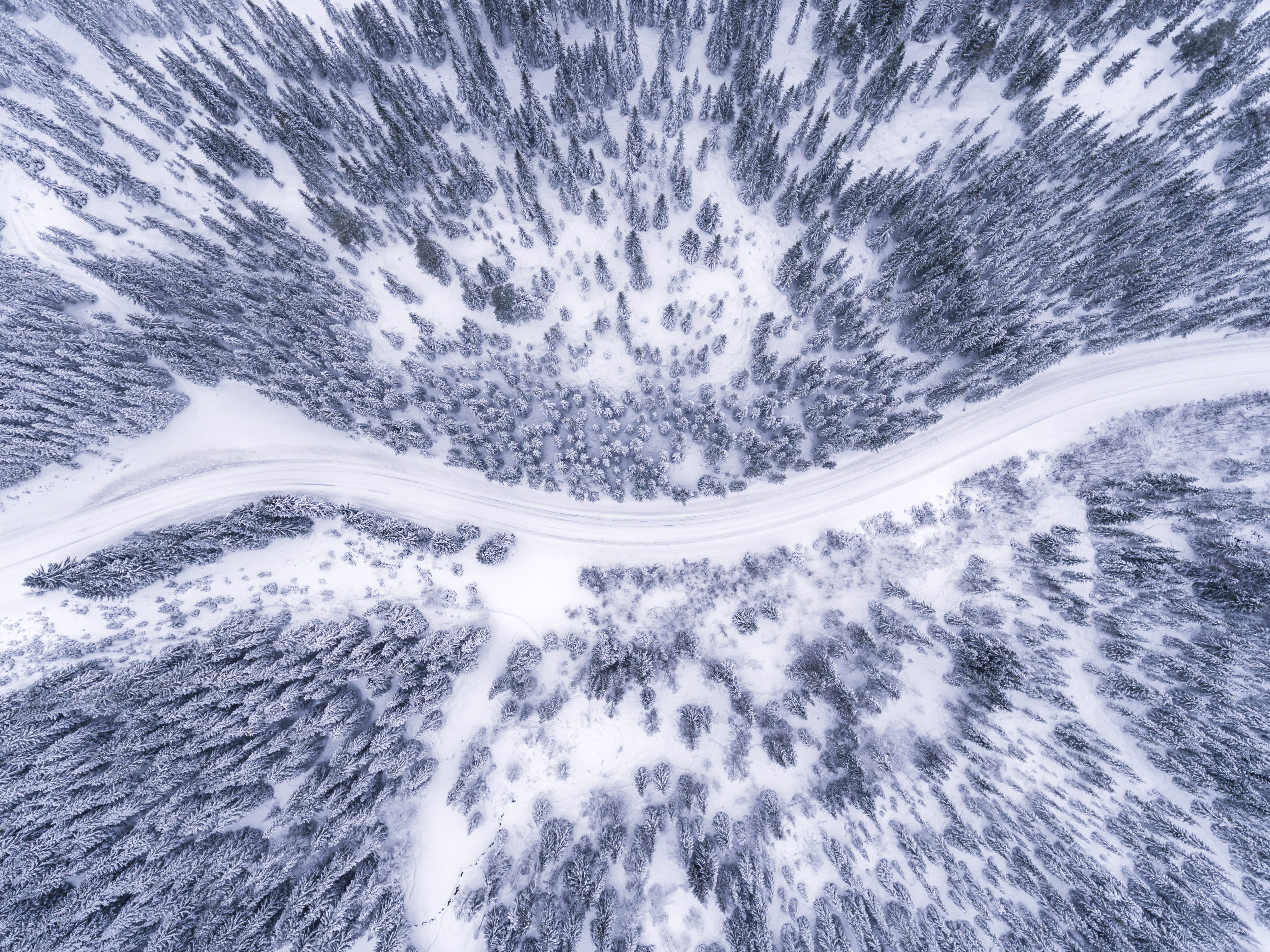 drone shoot, beauty in nature, travel, transportation, december, weather, frozen trees, snow, norwegian, bright, no people, white color, tranquility, snowy, HD Wallpaper