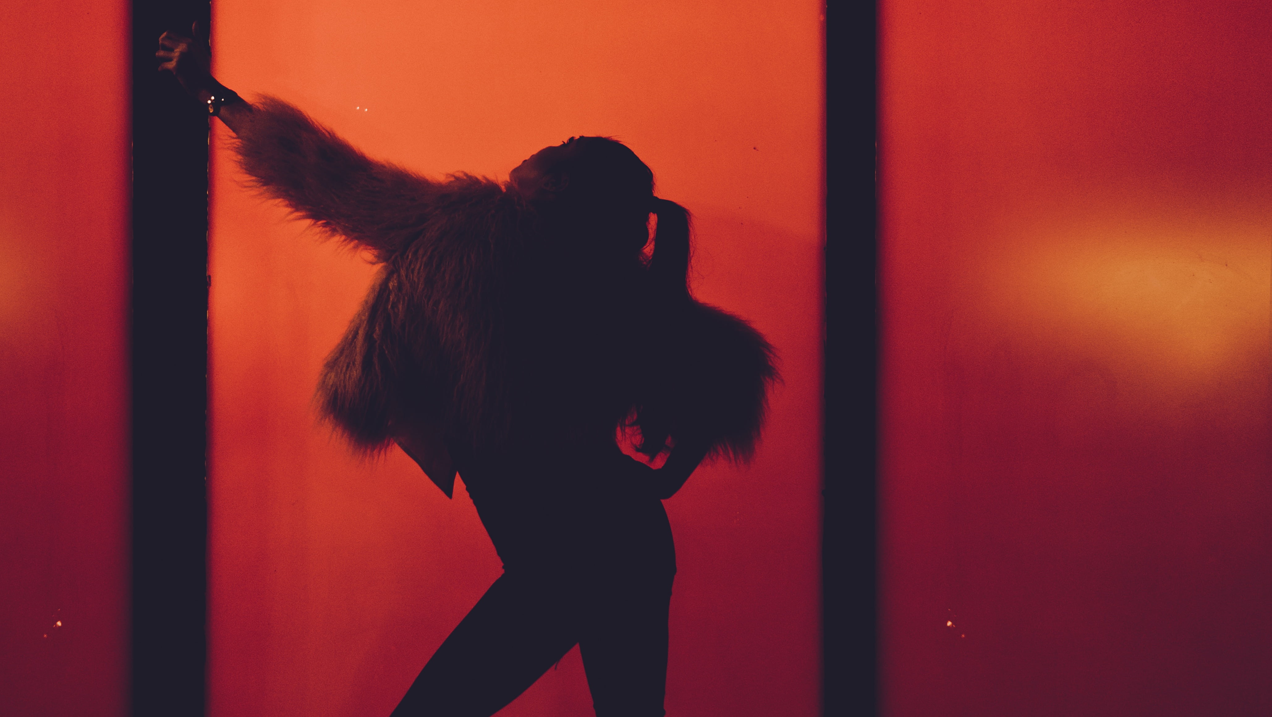 long hair, silhouette, hairstyle, concert, love, people, tousled hair, performance, fur coat, hair toss, obscured face, women, art, one animal, dark, indoors, HD Wallpaper
