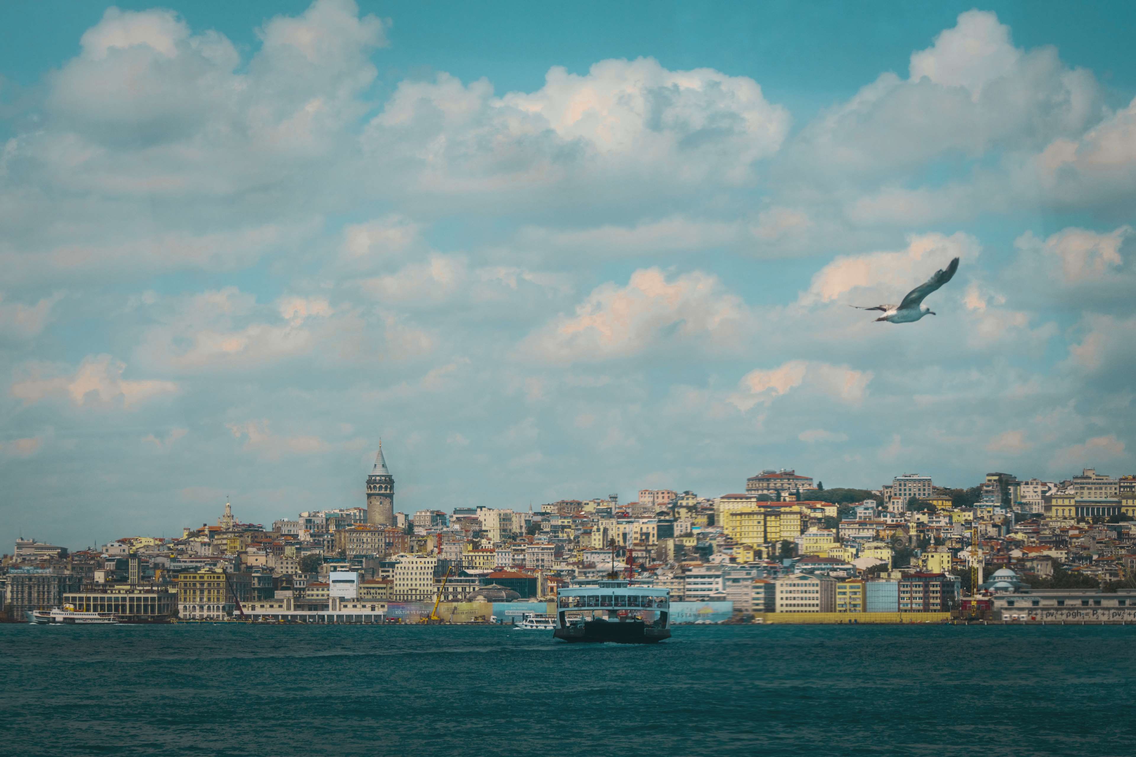 4K, animal themes, tower, taking photo, adobe photoshop, transportation, bird, passenger craft, galata tower, nautical vessel, sea, architecture, cityscape, HD Wallpaper