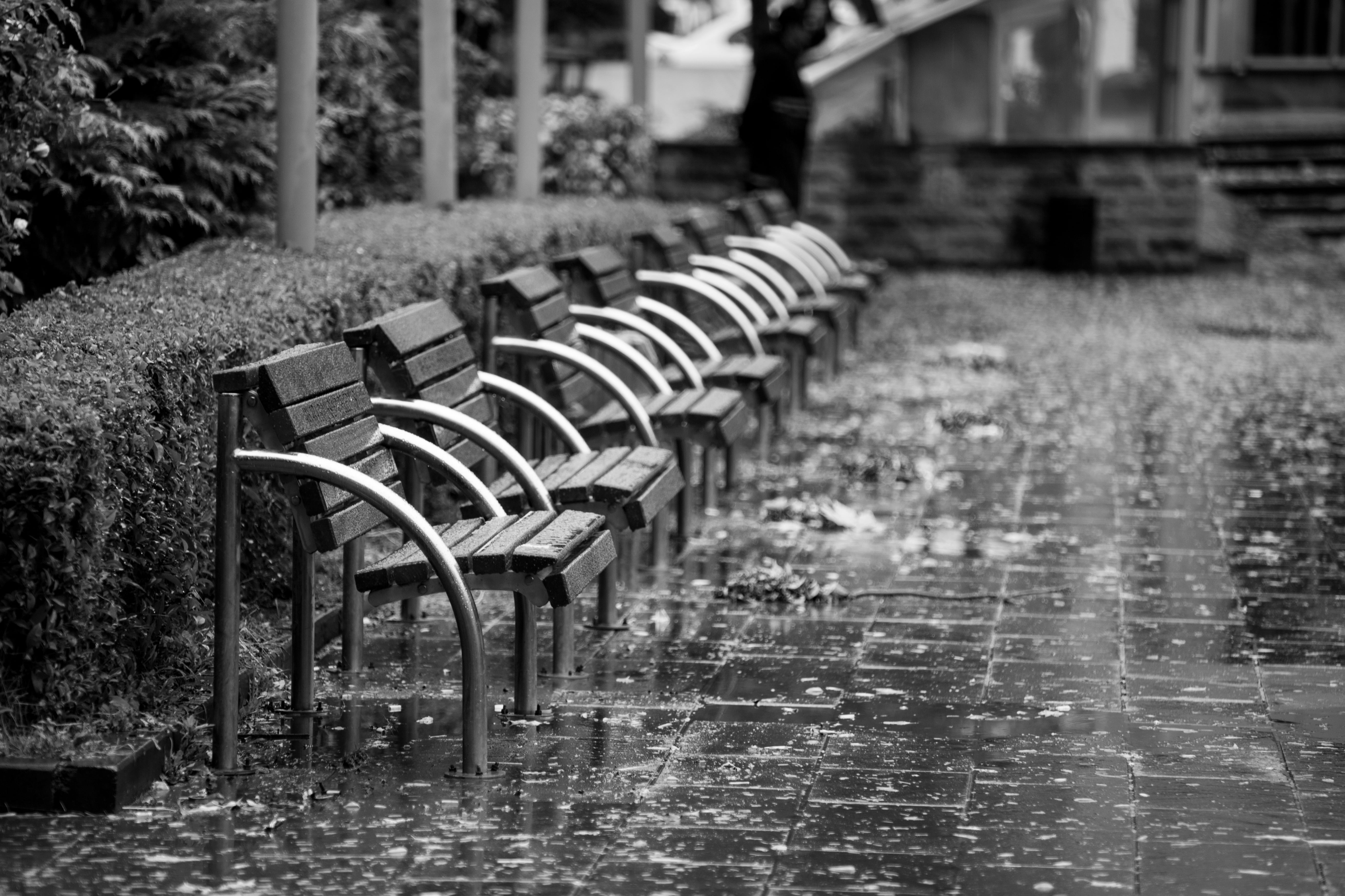 grayscale, light, bank, rainy season, no people, wet, sit, shadow, b add, bench, dark, black and white, wooden, water, life, armchairs, road, nature, chair, HD Wallpaper