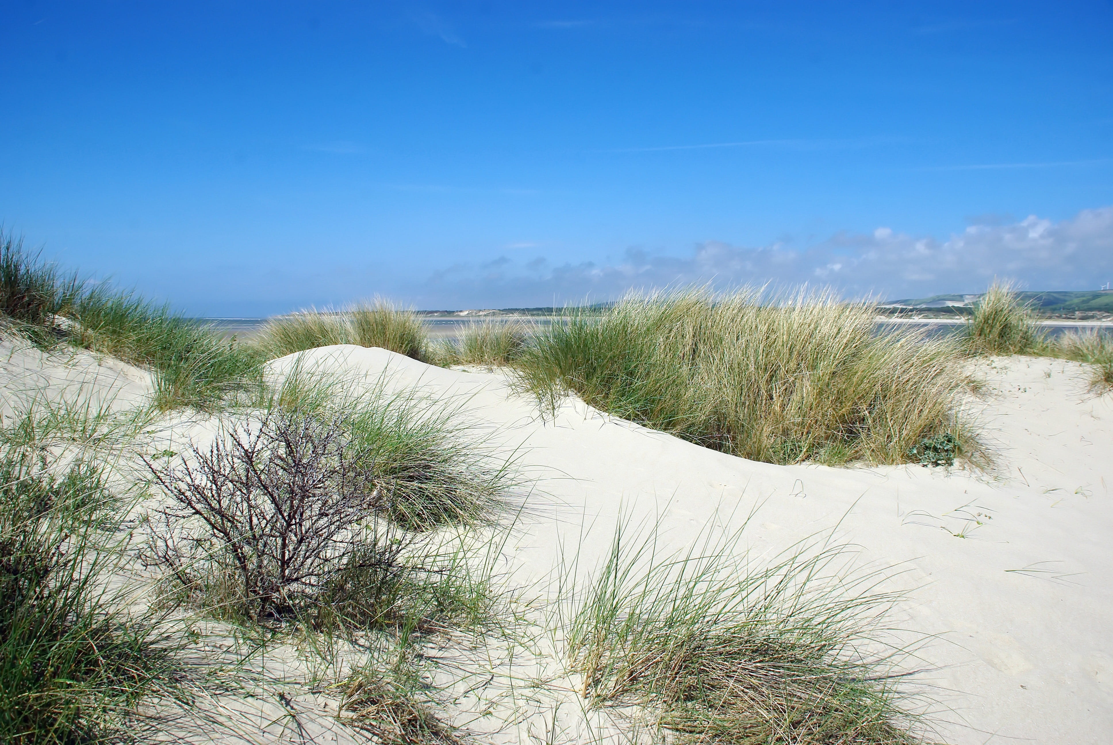 nature, estuary, water, sand, 4K, beauty in nature, tranquility, beach, grass, dunes, growth, no people, plant, outdoors, sand dune, tranquil scene, cloud - sky, HD Wallpaper