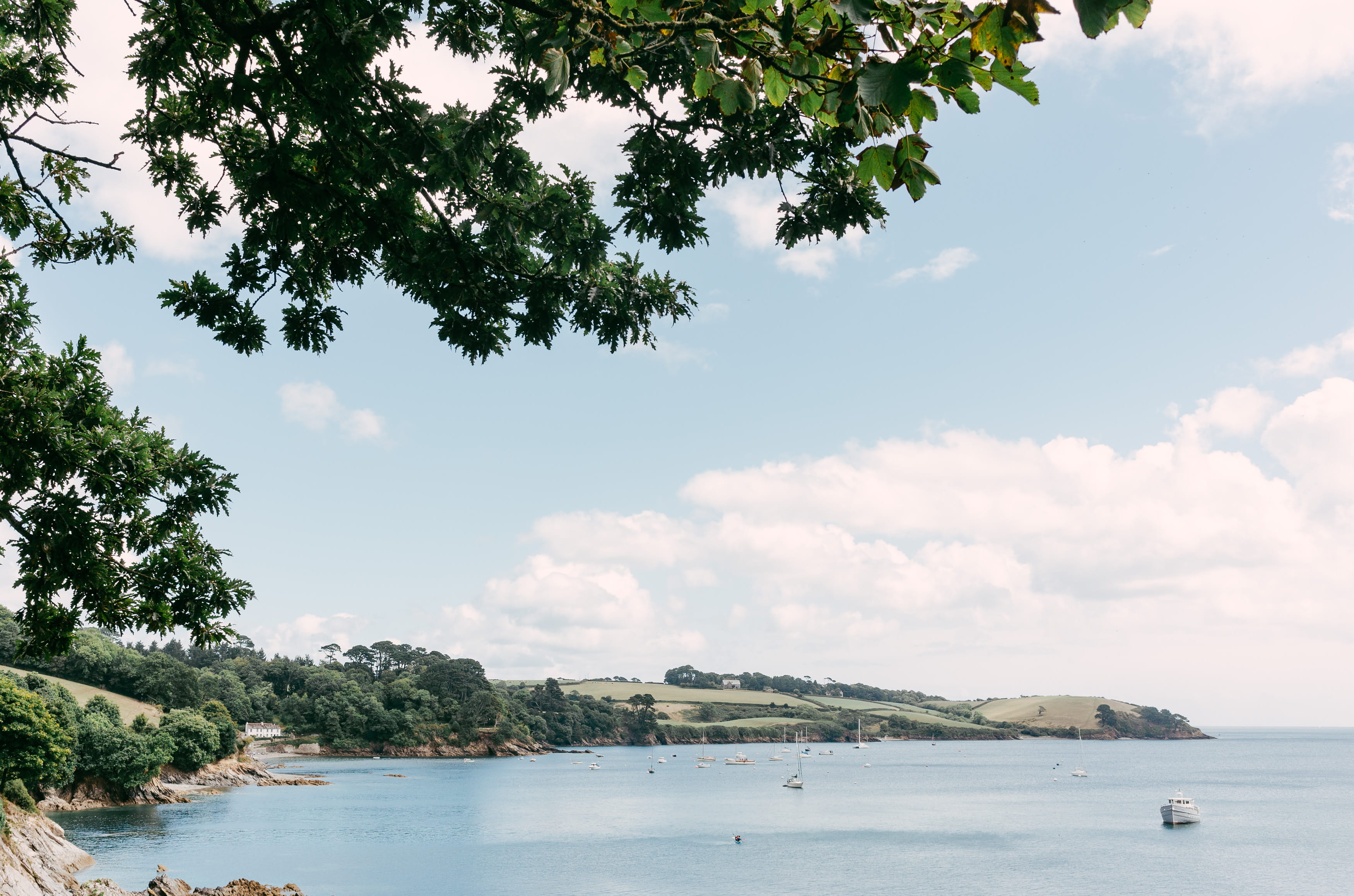 no people, plant, english, view, moorings, waterfront, summer, cornish, picturesque, helford estuary, seashore, countryside, outdoors, color, land, uk, HD Wallpaper