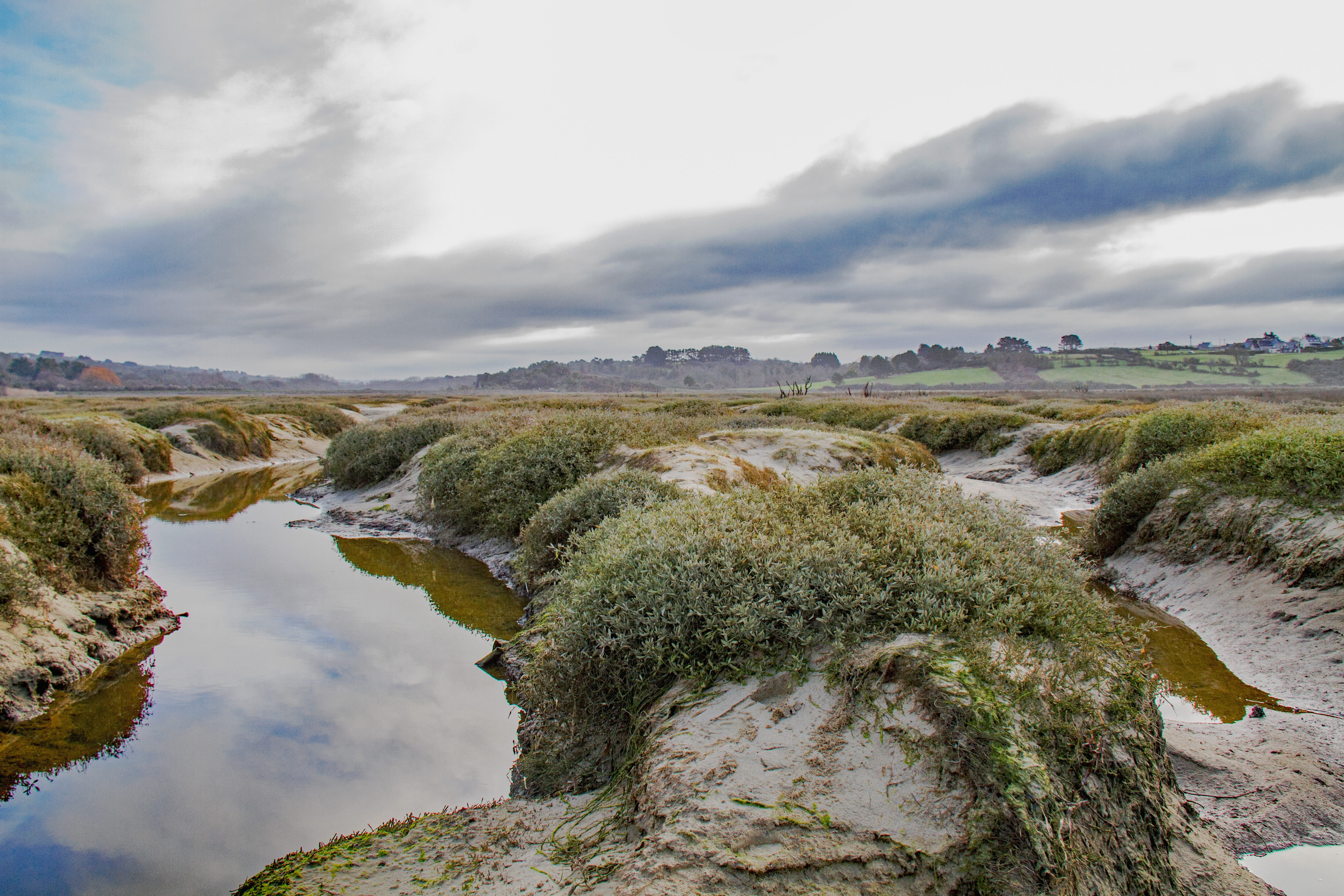 land, plant, 5K, mud, beauty in nature, cloud - sky, day, rock, outdoors, saltmarsh, no people, water, estuary, nature, tranquility, non-urban scene, landscape, HD Wallpaper