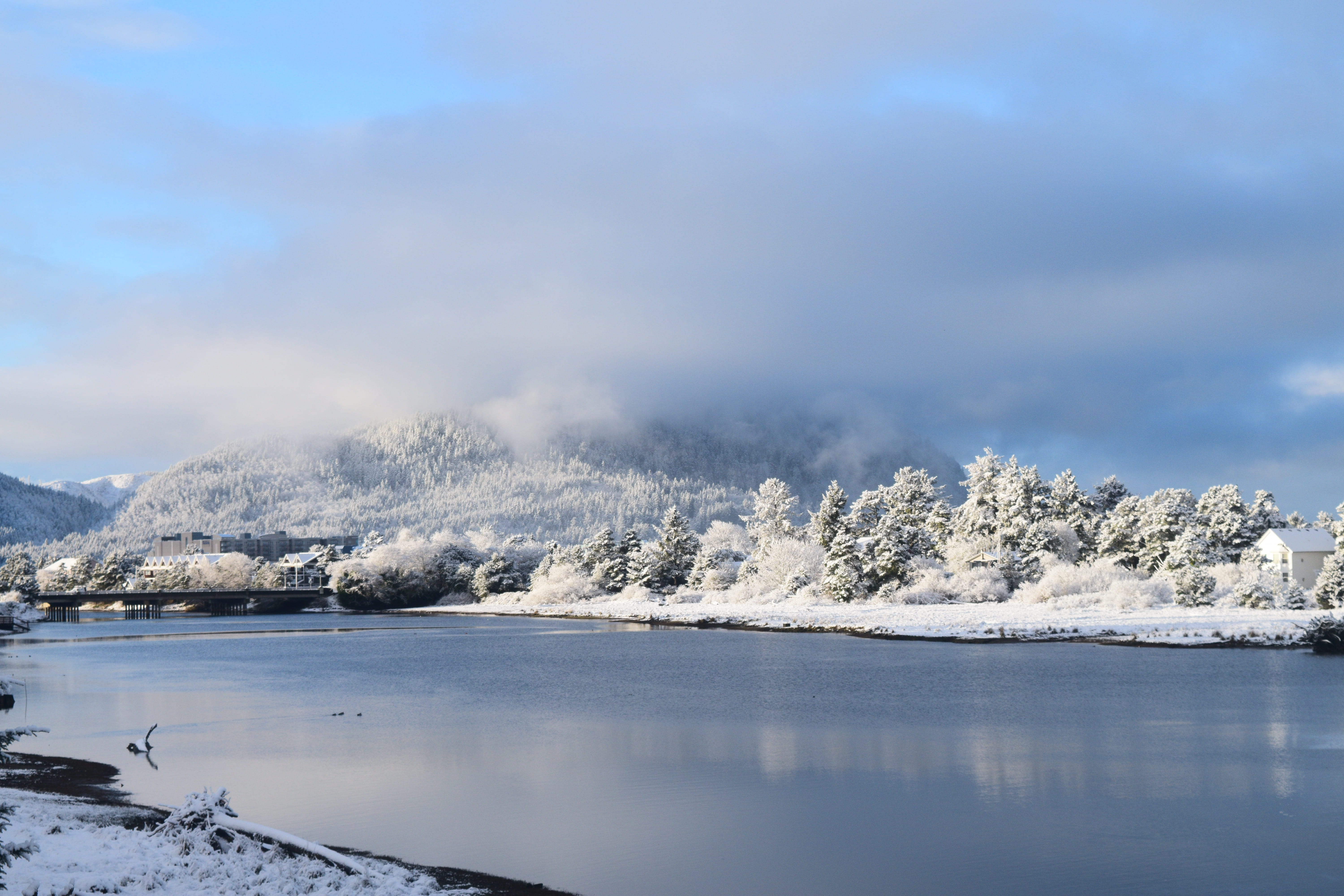 no people, powder snow, lake, tranquil scene, bird, estuary, mountain range, body, fir, non-urban scene, oregon, plant, tillamook head, nature, beauty in nature, HD Wallpaper