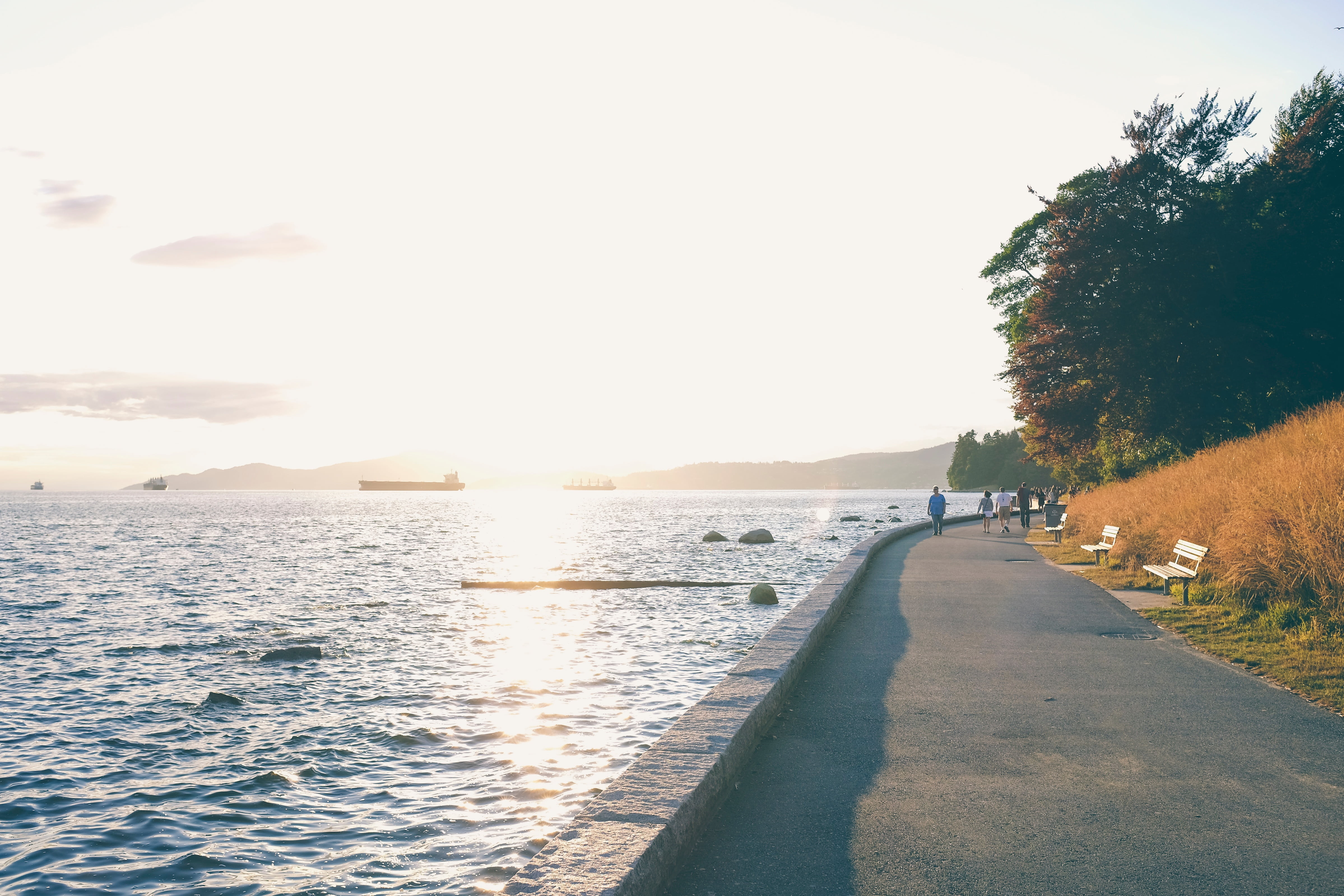 street, copy space, green, body, grass, the way forward, sunlight, outdoors, tranquil scene, path, walking, time, mountain, exercise, gray, tree, waves, HD Wallpaper