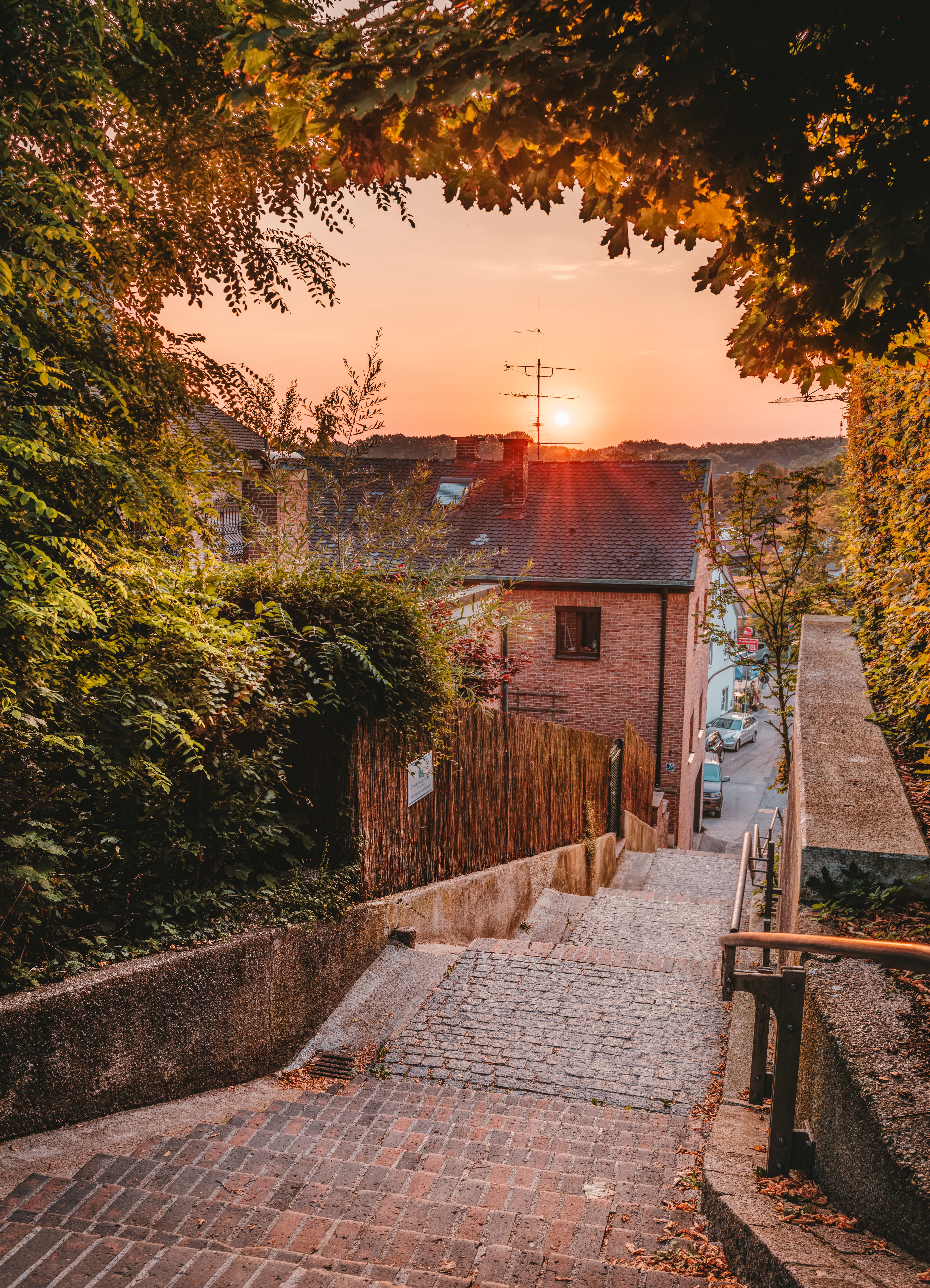 orange color, architecture, stairs, footpath, wall, building, built structure, staircase, city, romantic, outdoors, plant, atmospheric, sky, sunrise, tree, Phone HD Wallpaper