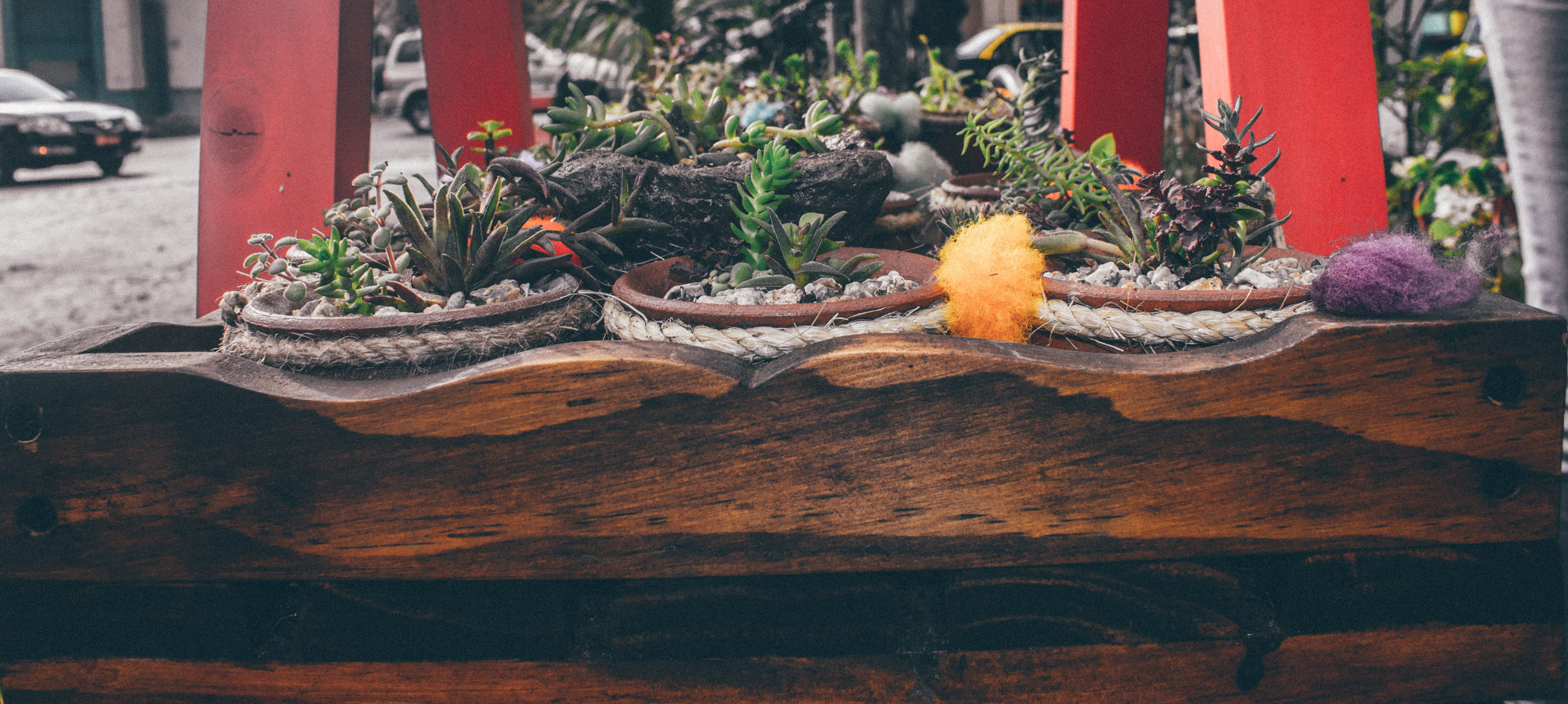architecture, wood - material, 4K, building exterior, outdoors, wood, freshness, built structure, flower, potted plant, no people, plant, front or back yard, HD Wallpaper