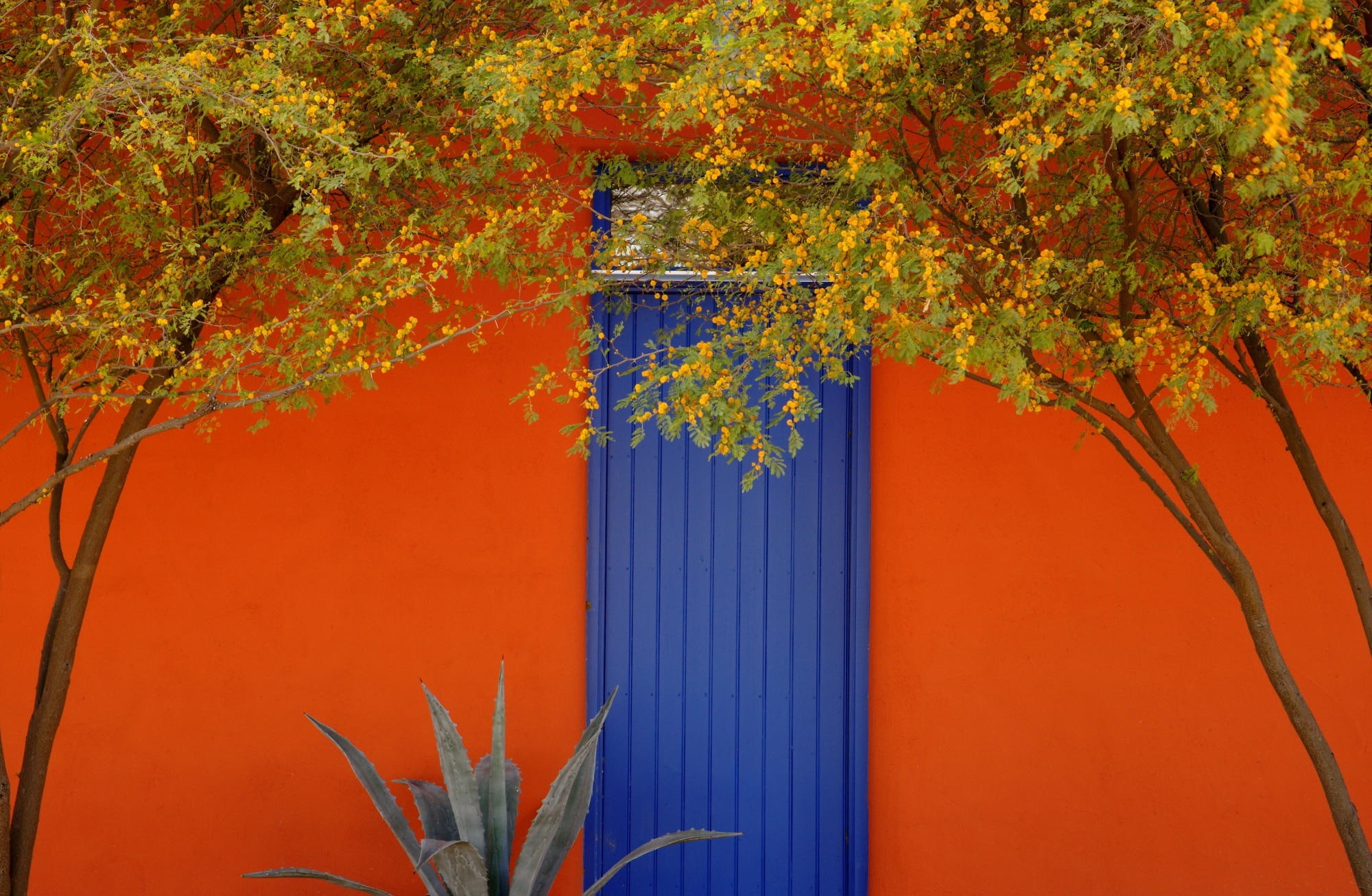 Nature, Landscape, Tucson, District, 1080P, Barrio, Arizona, HD Wallpaper