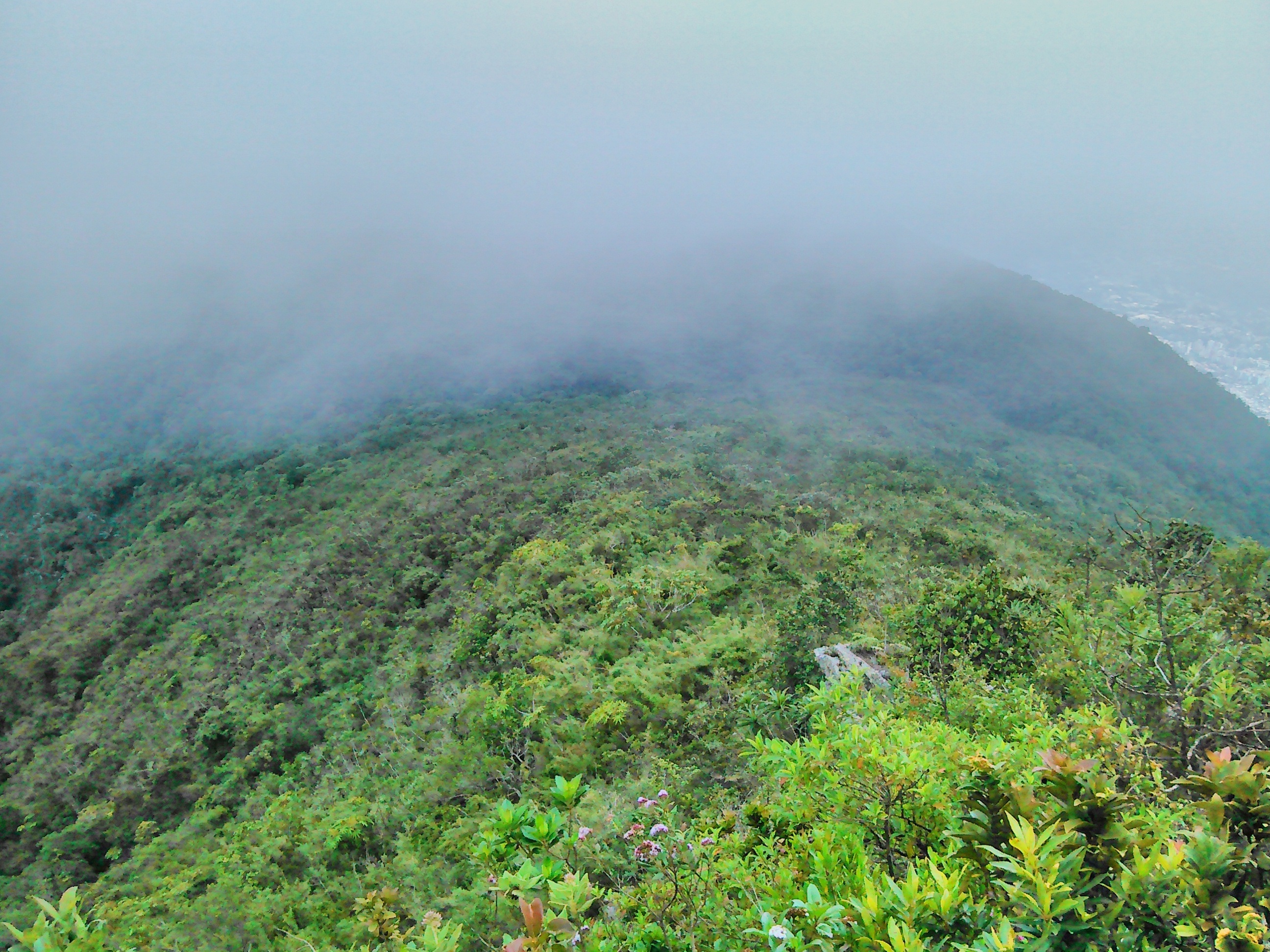 landscape, vegetation, mountain, sky, scenics - nature, tranquility, growth, caracas, beauty in nature, 2K, nature, remote, idyllic, green, day, outdoors, HD Wallpaper