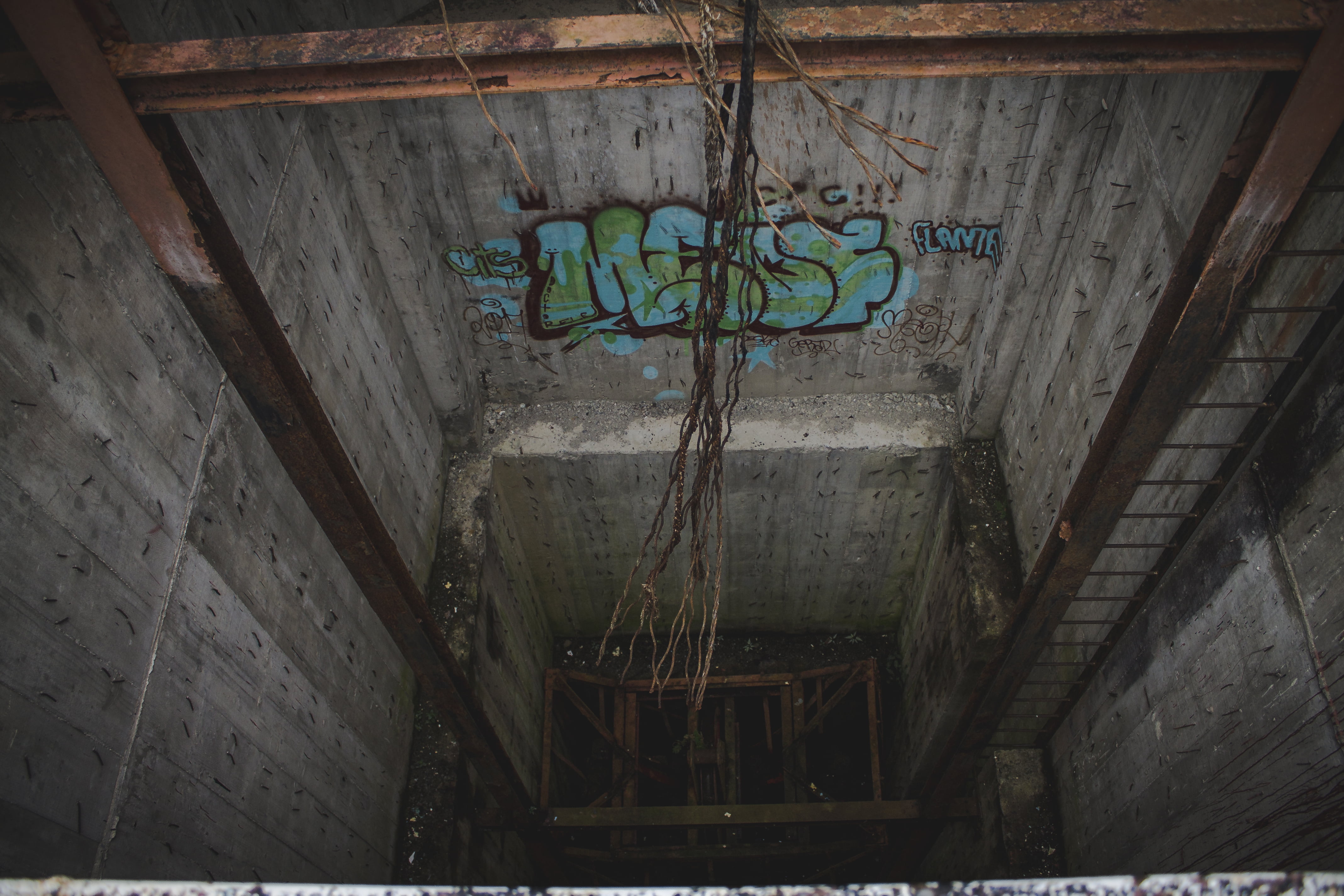 4K, street art, Caracas, photographer, photography, HD Wallpaper