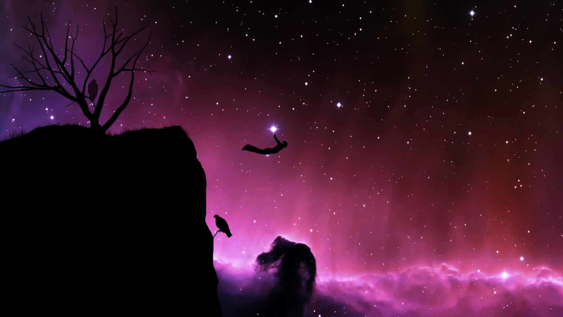 space, purple, constellation, salto, night, star - space, starry sky, astronomy, outdoors, black, pink sky, plant, 1080P, darkness, low angle view, scenics - nature, HD Wallpaper