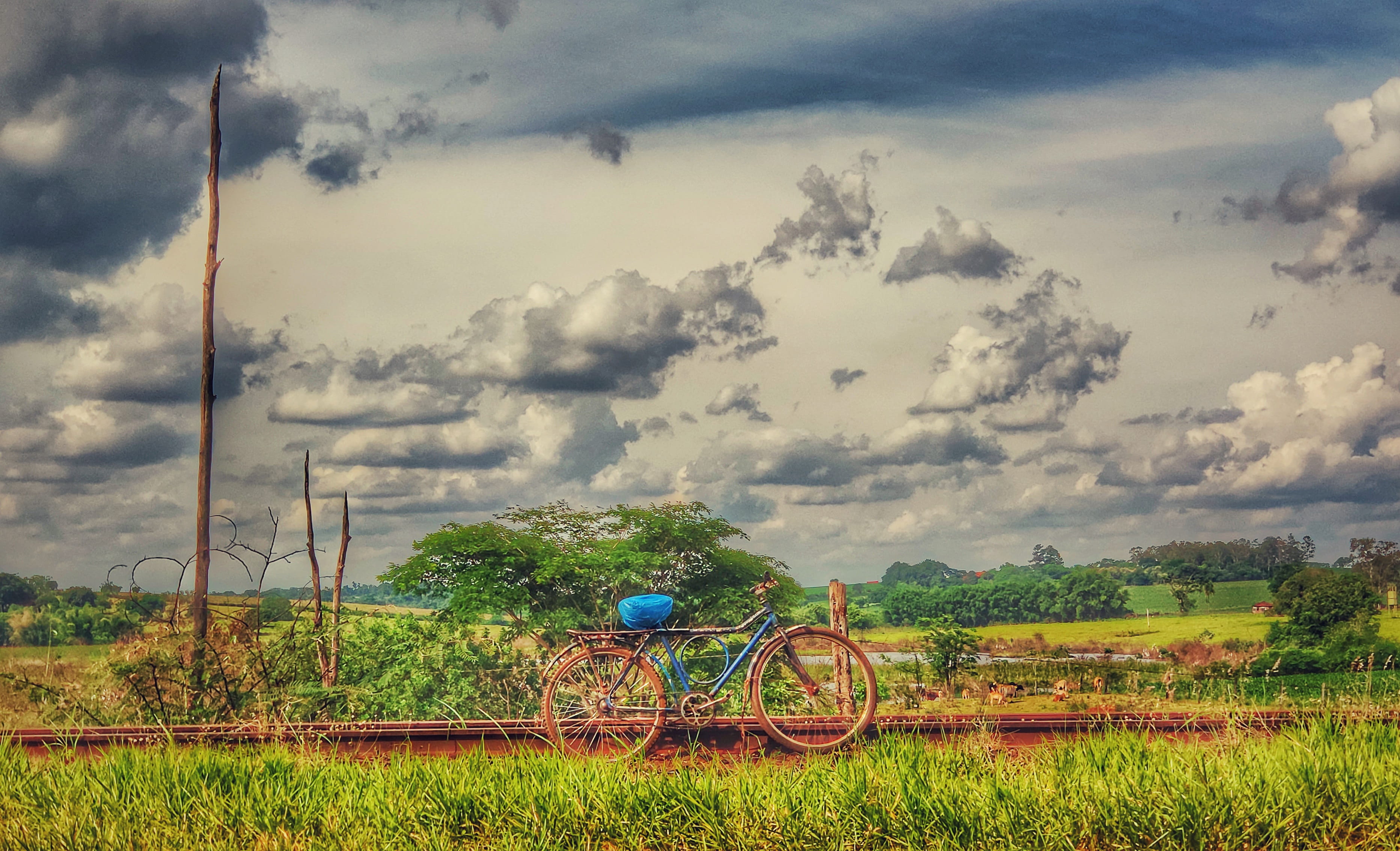 r. cel. pedro pocay, transportation, sky, mode of transportation, land, growth, scenics - nature, field, agriculture, 2K, plant, salto grande, landscape, HD Wallpaper