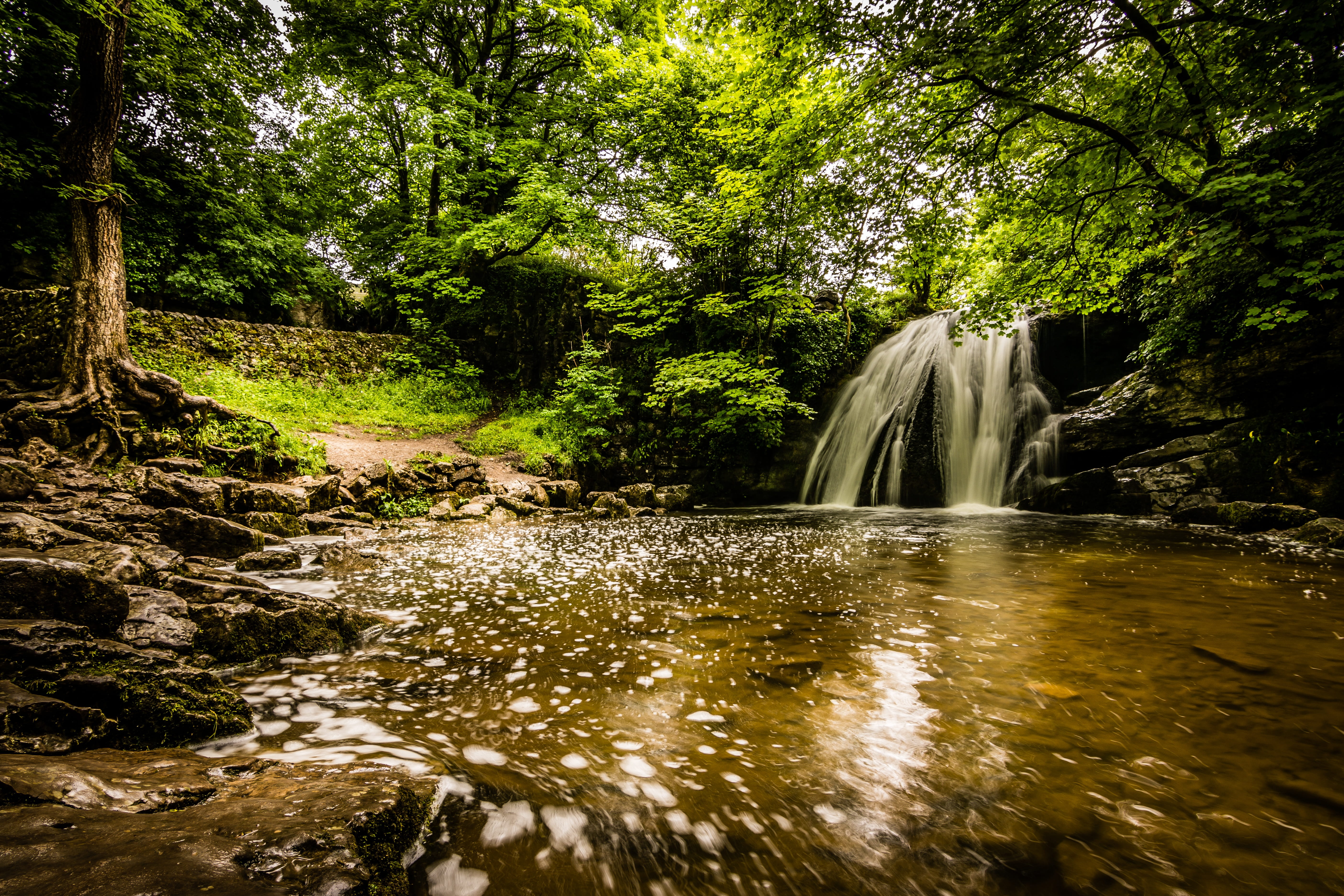 waterfalls, yorkshire dales, river, malham, tree, lapse, flow, land, uk, basin, motion, outdoors, power in nature, walk, flowing water, no people, time, HD Wallpaper
