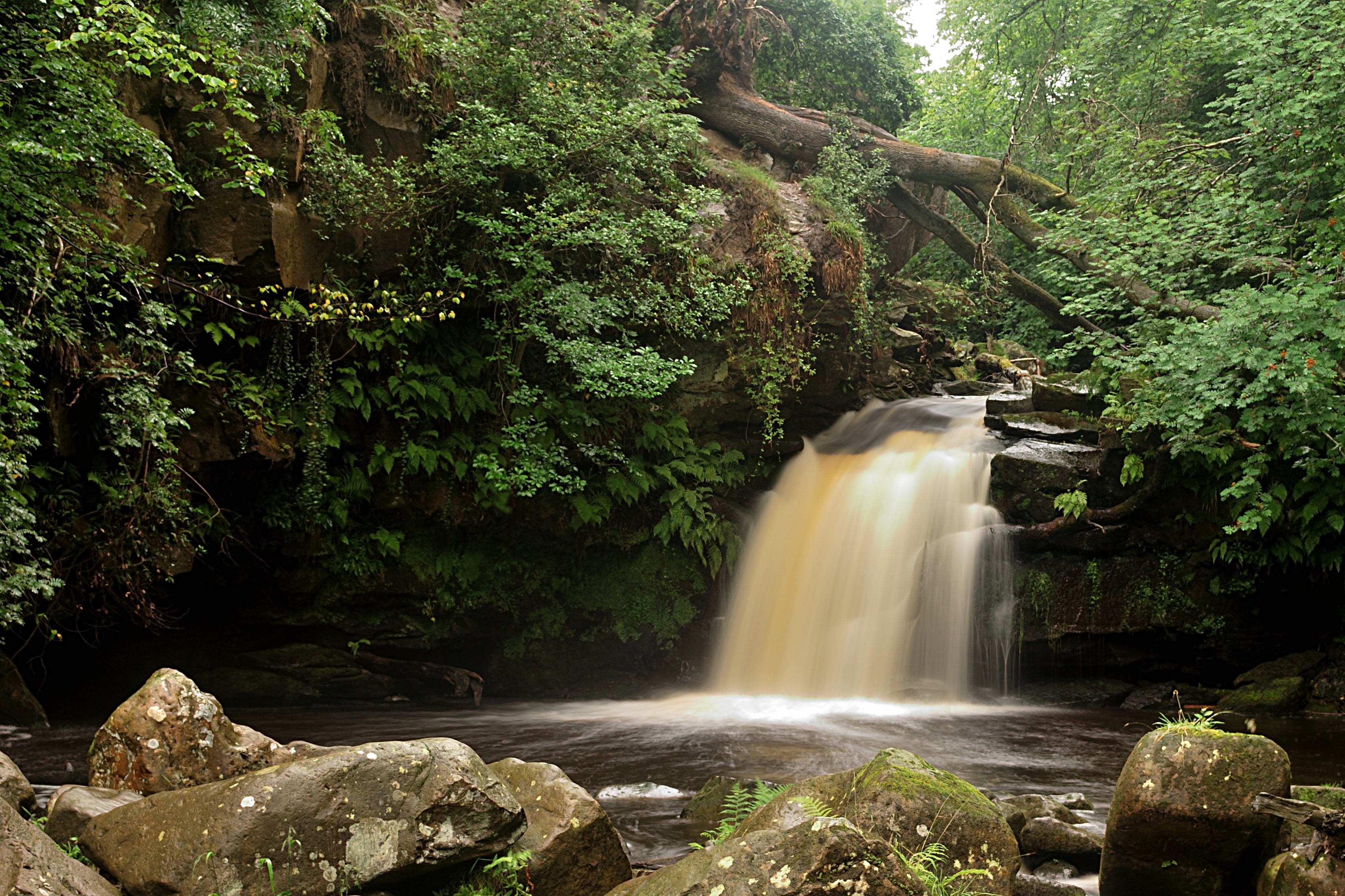 Long exposure, North York Moors National Park, Long exposures, time, lapse, stream, falls, nature, forest, photo, landscape, water, Neutral density filter, HD Wallpaper