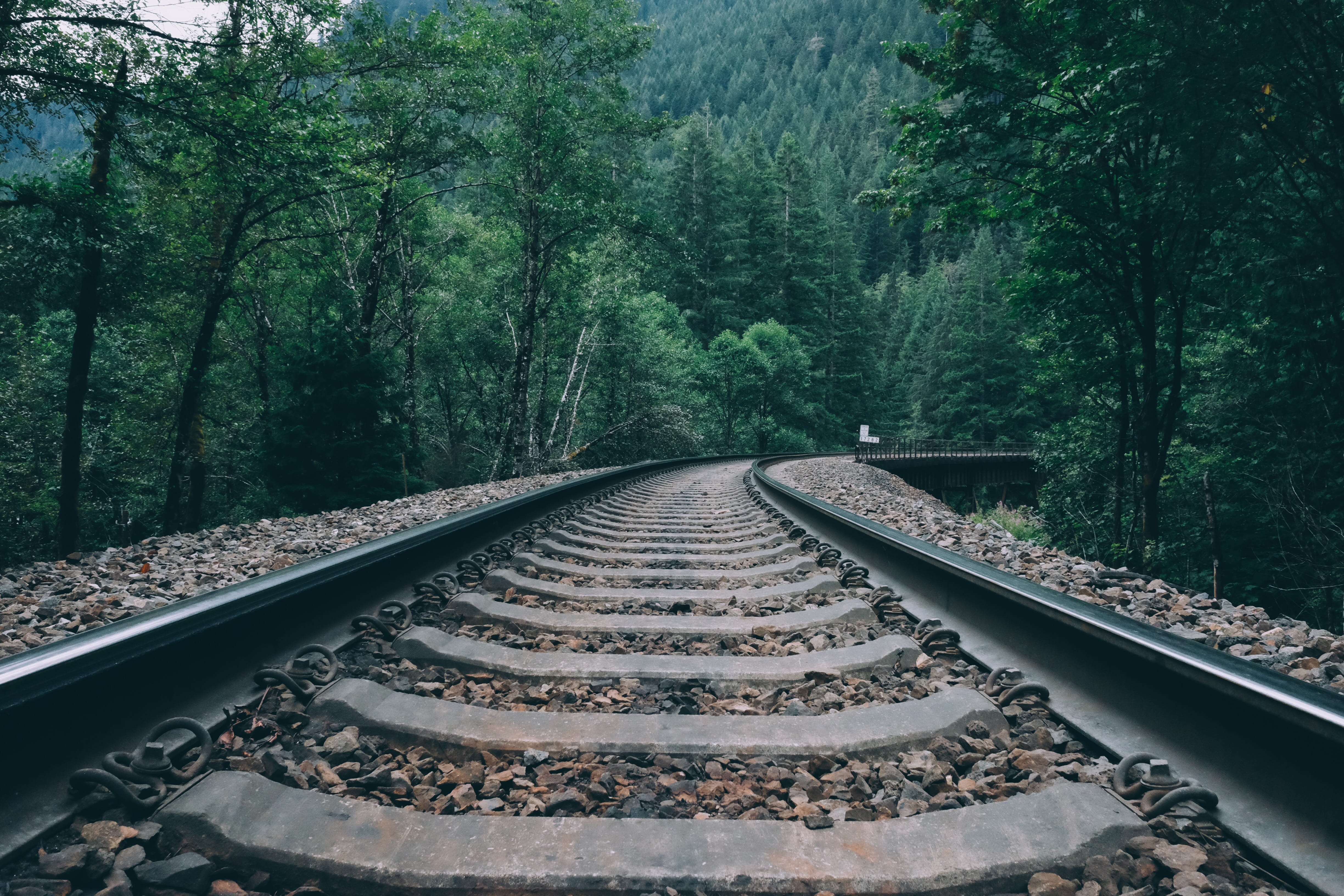 diminishing perspective, 4K, united states, non-urban scene, track, train, scenics - nature, tree, iron, no people, beauty in nature, train track, forest, HD Wallpaper